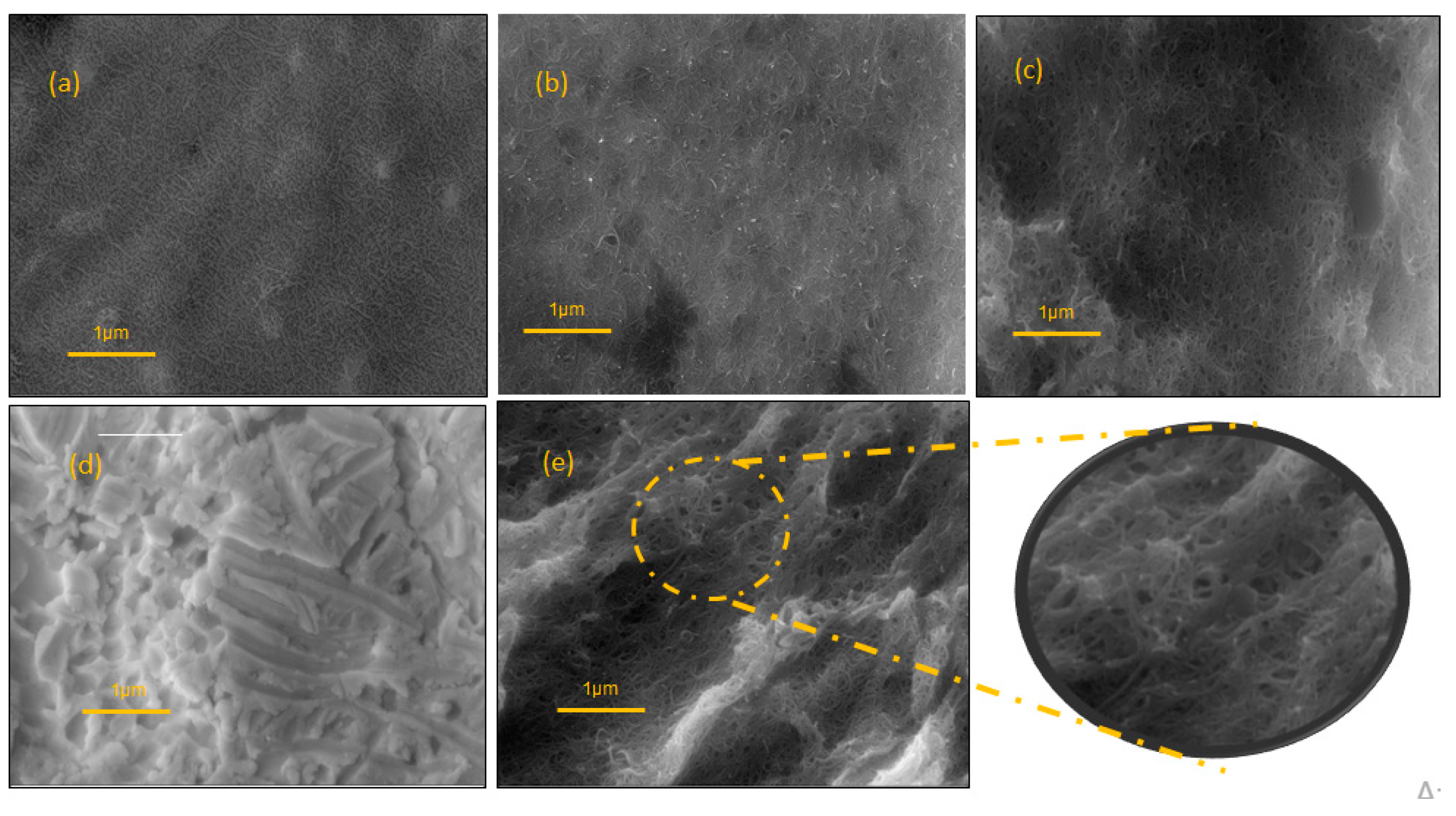Biosensors 13 00873 g005