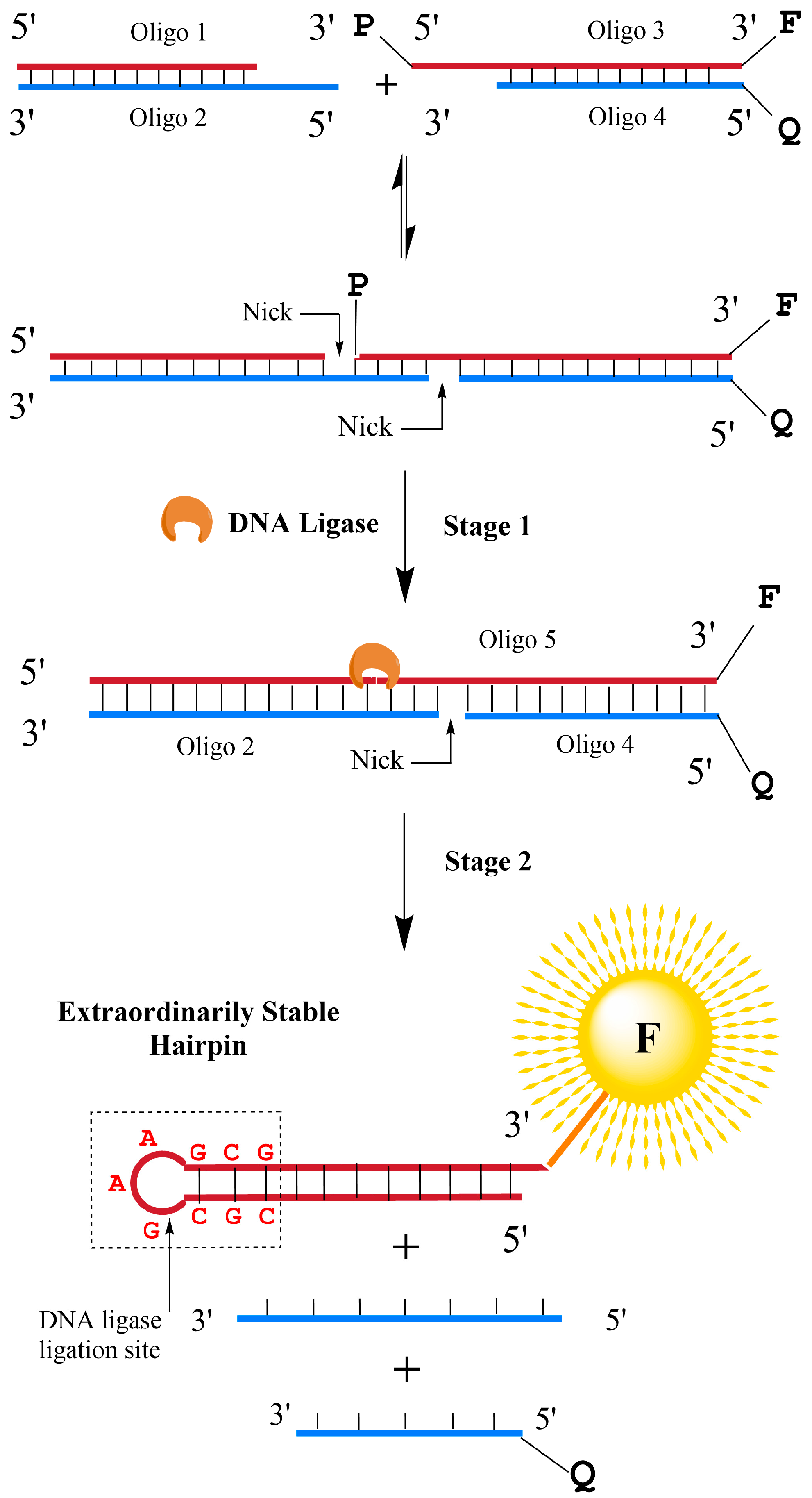 Biosensors 13 00875 g001 Biosensors 13 00875 g001