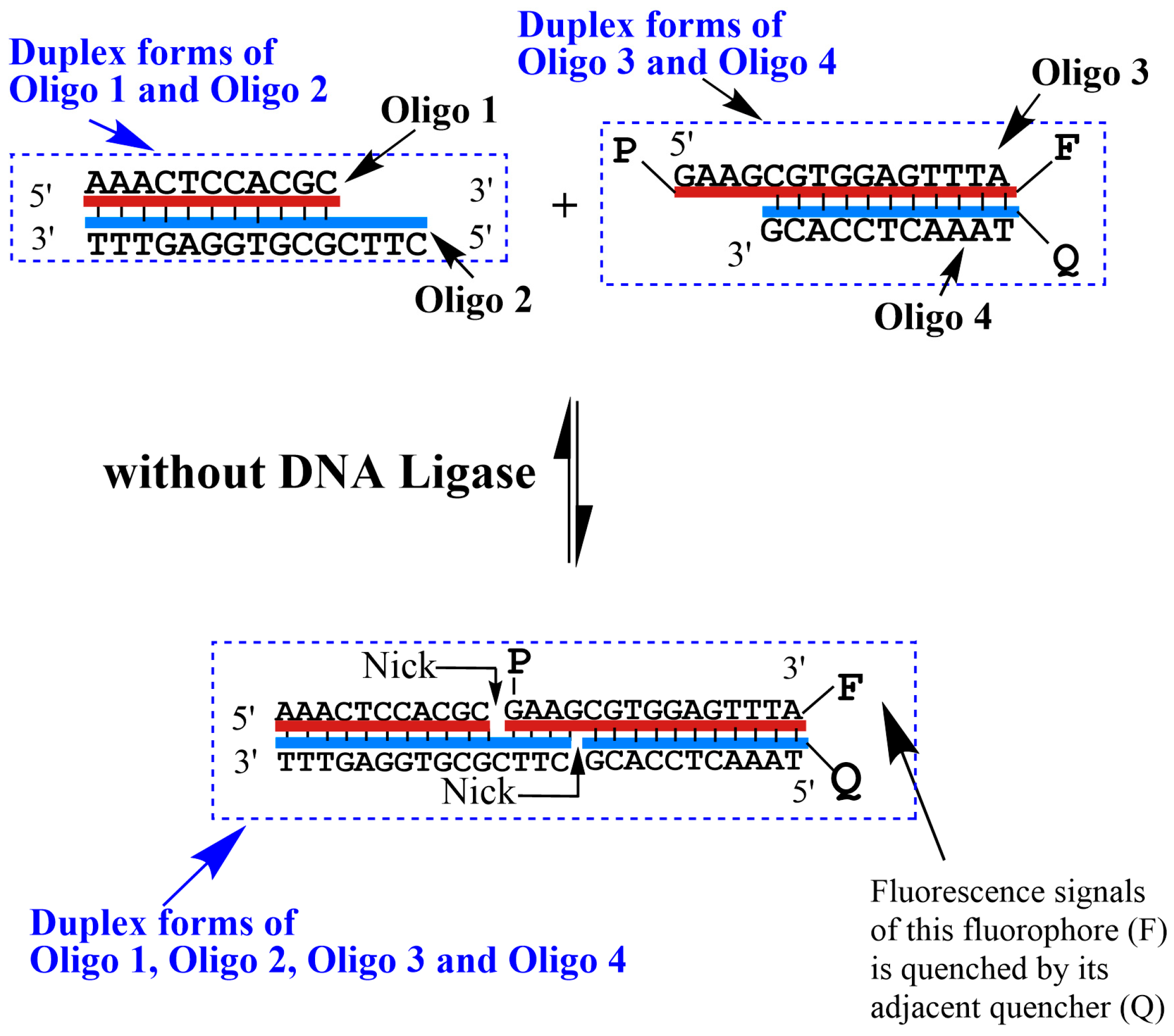 Biosensors 13 00875 g002 Biosensors 13 00875 g002
