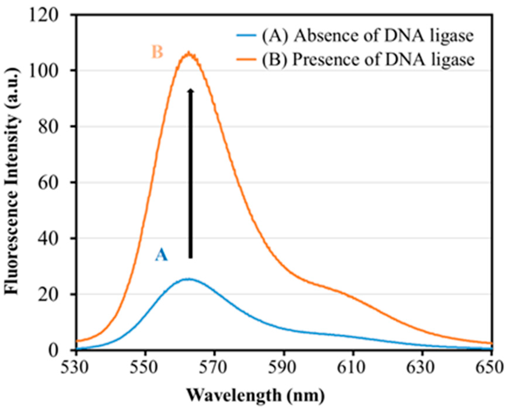 Biosensors 13 00875 g003 Biosensors 13 00875 g003