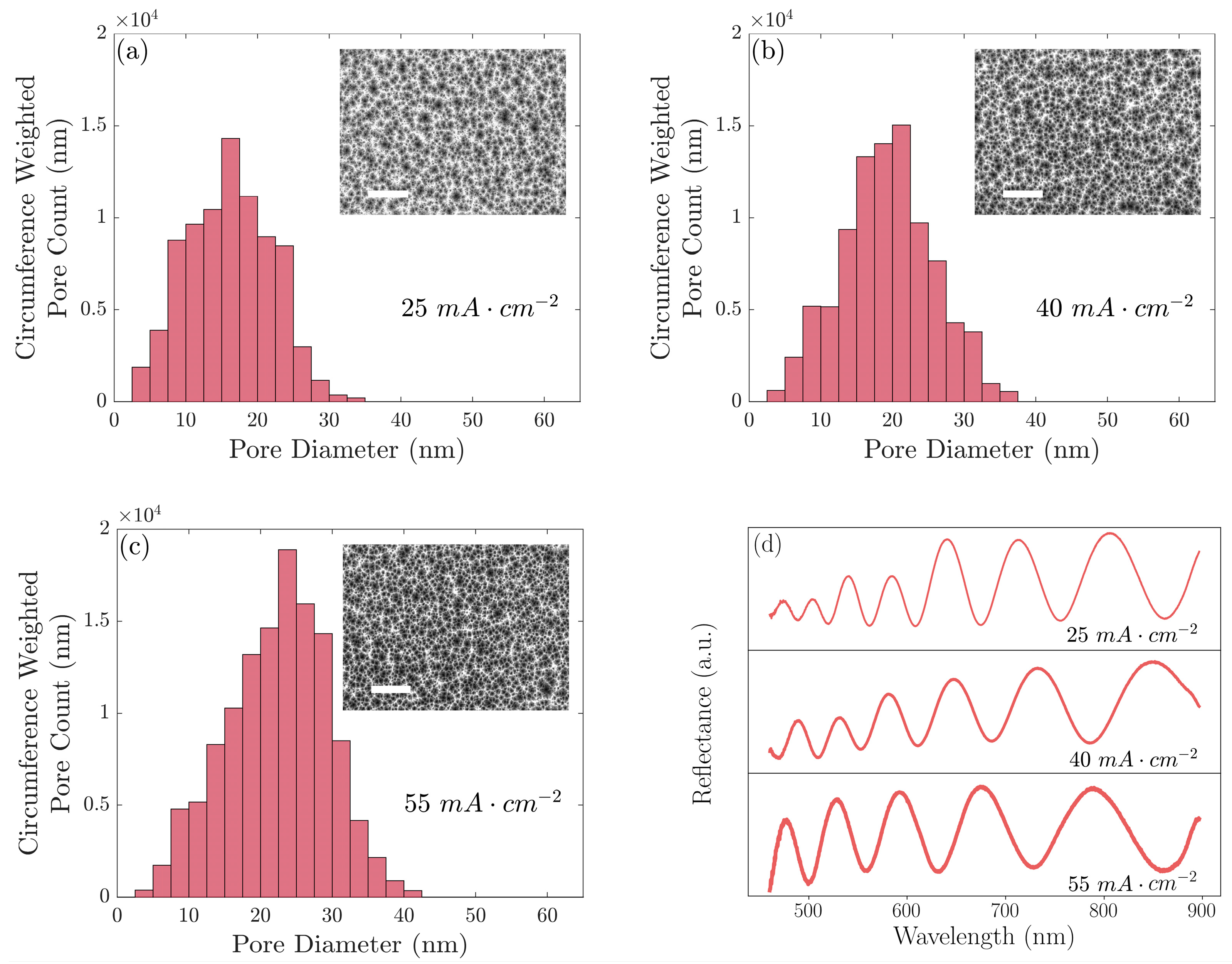 Biosensors 13 00879 g001