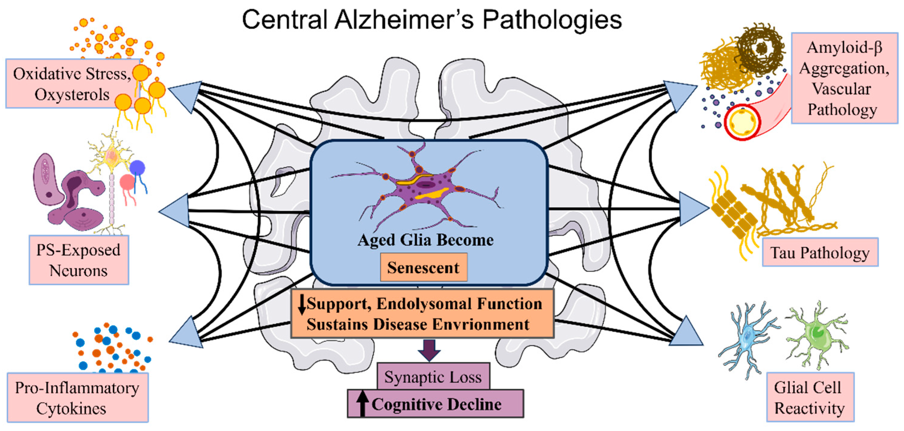 Biosensors 13 00880 g001