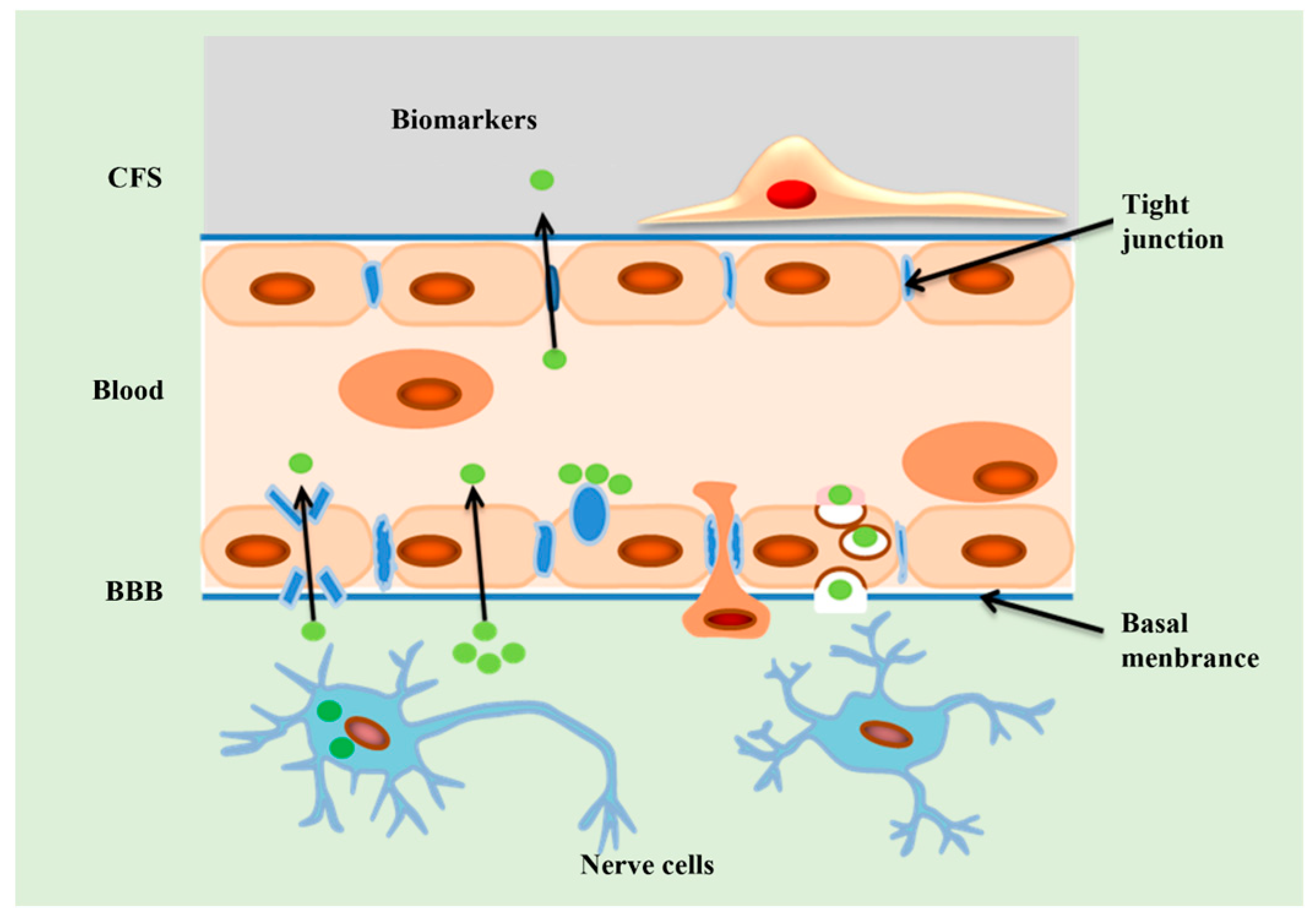 Biosensors 13 00880 g002