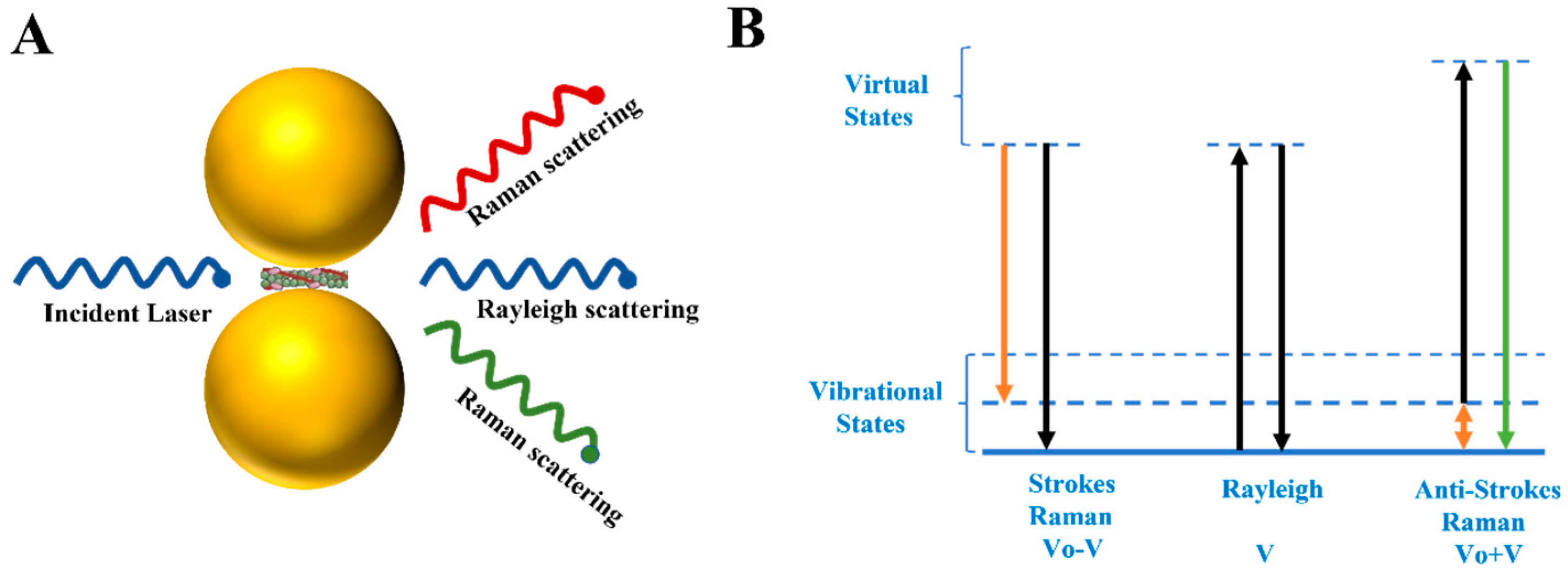 Biosensors 13 00880 g003
