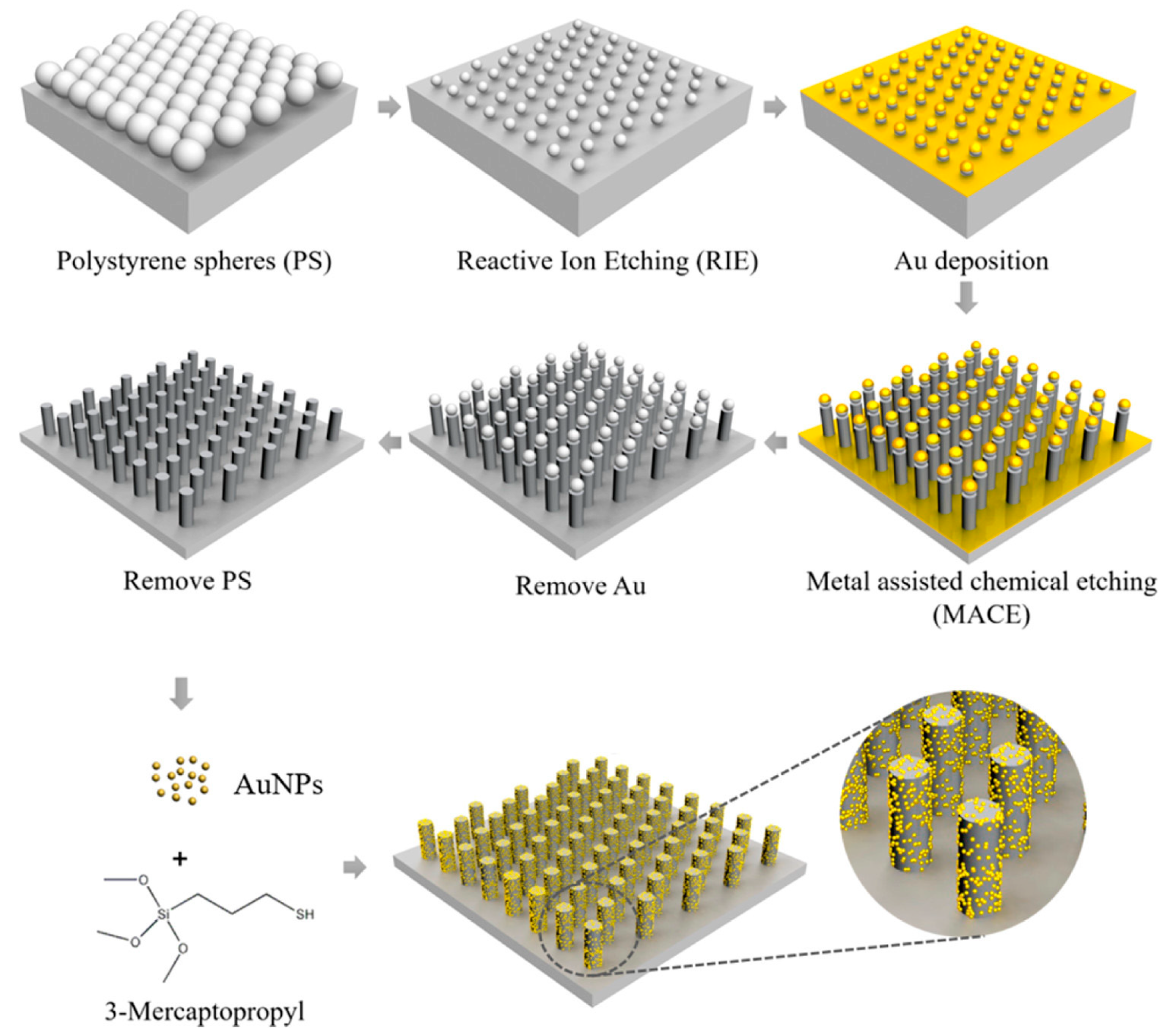 Biosensors 13 00880 g009