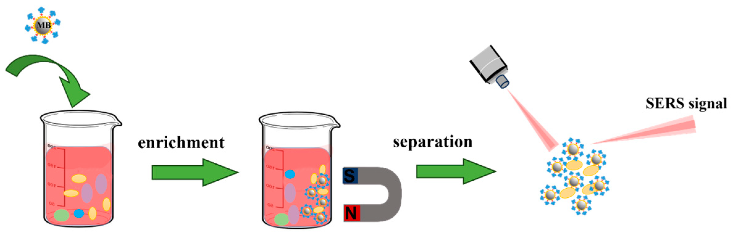 Biosensors 13 00880 g010