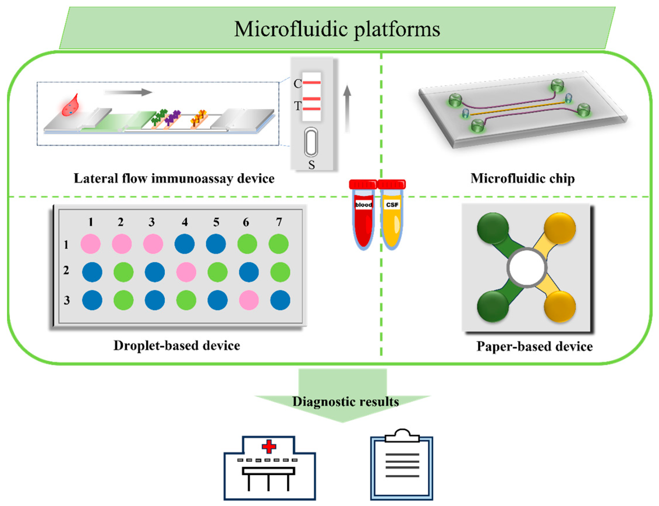 Biosensors 13 00880 g011