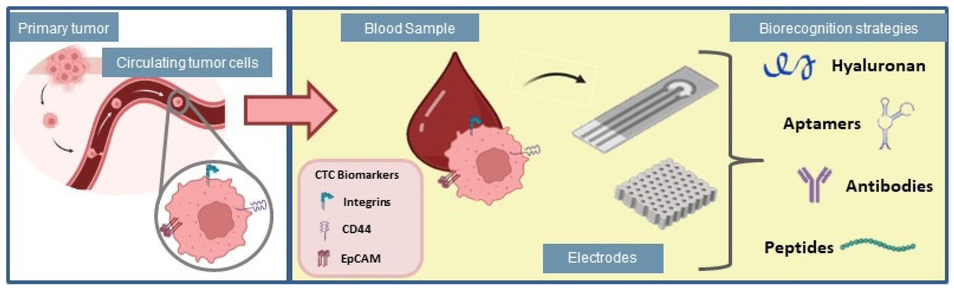 Biosensors 13 00882 g003
