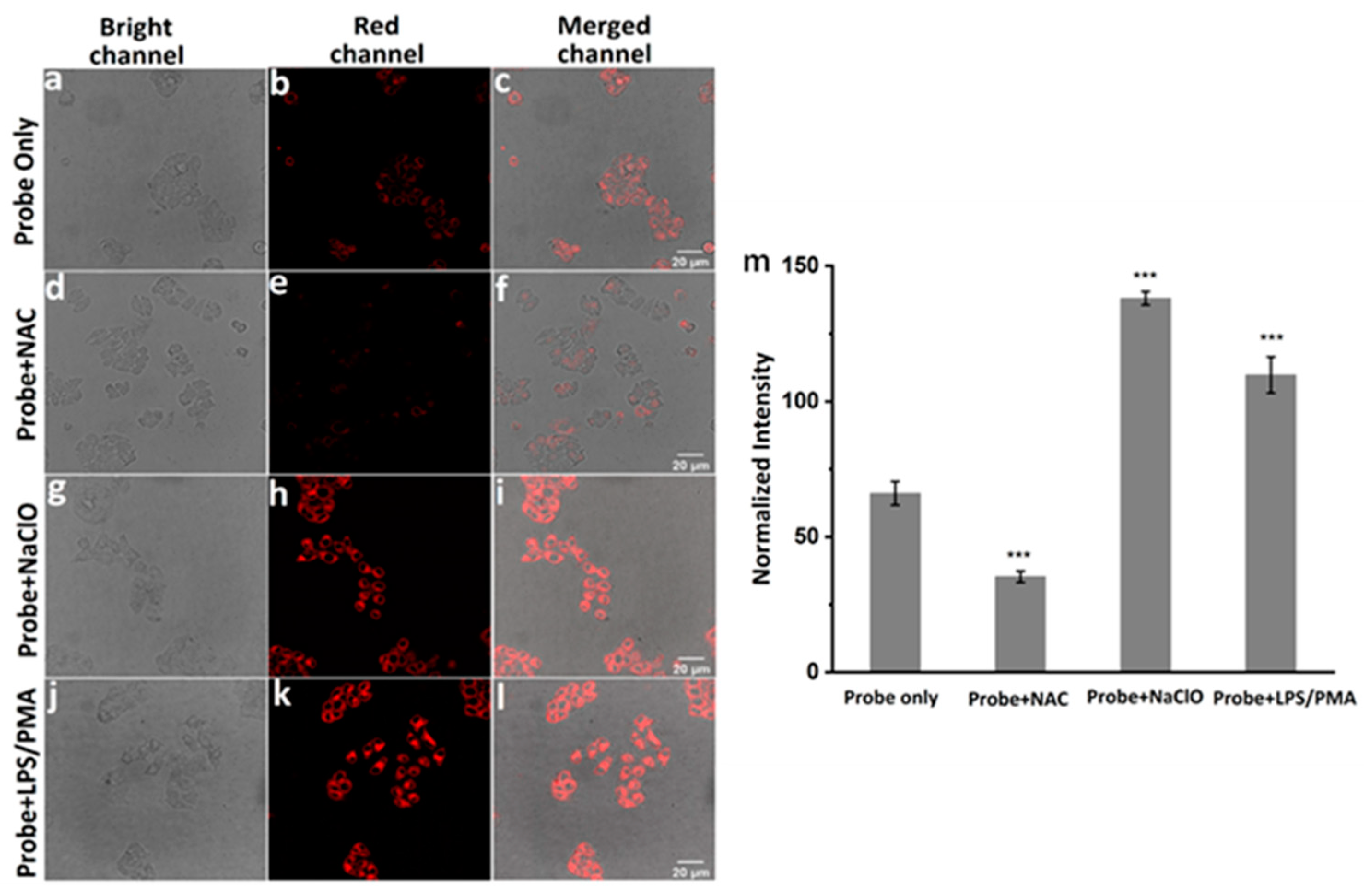 Biosensors 13 00883 g005