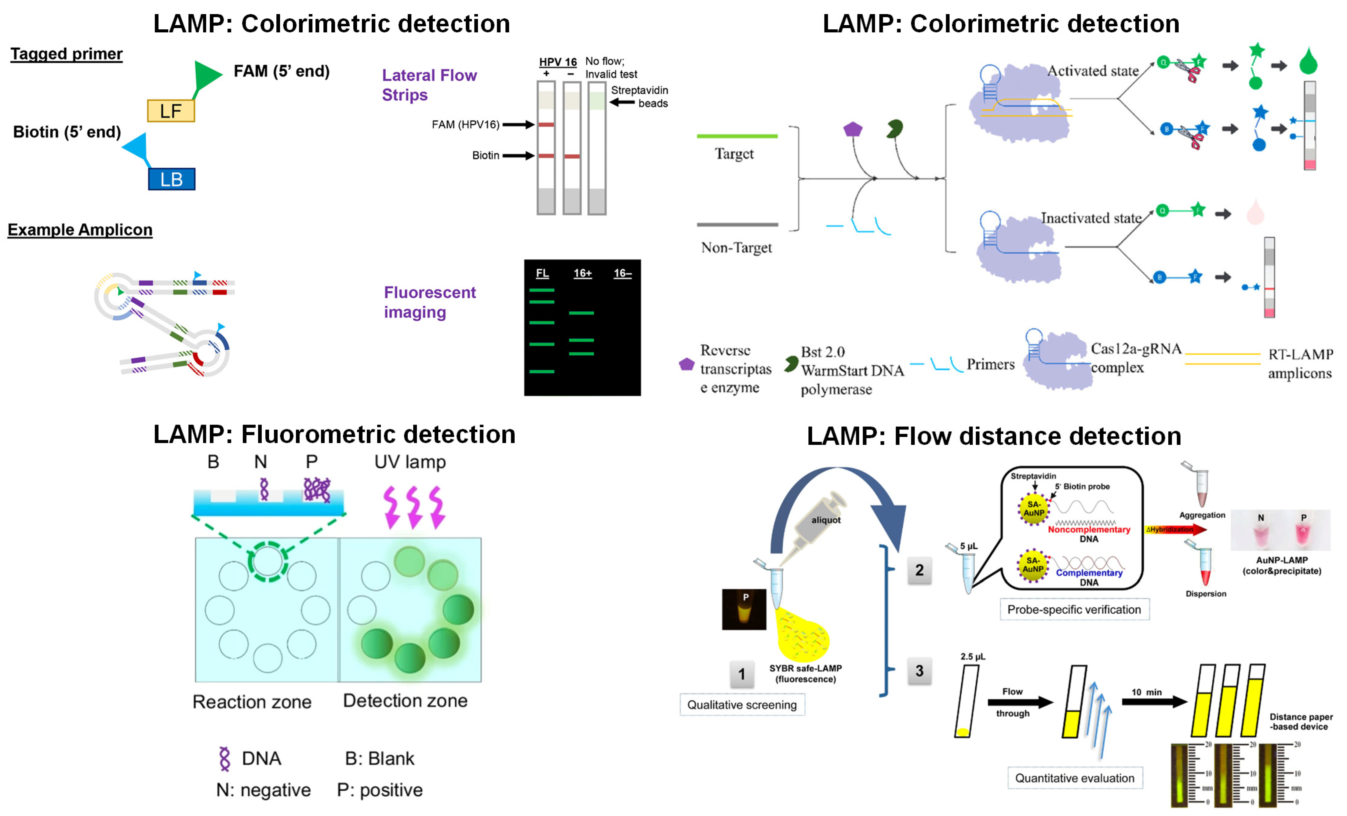 Biosensors 13 00885 g004