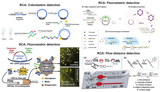 Recent Uses of Paper Microfluidics in Isothermal Nucleic Acid ...