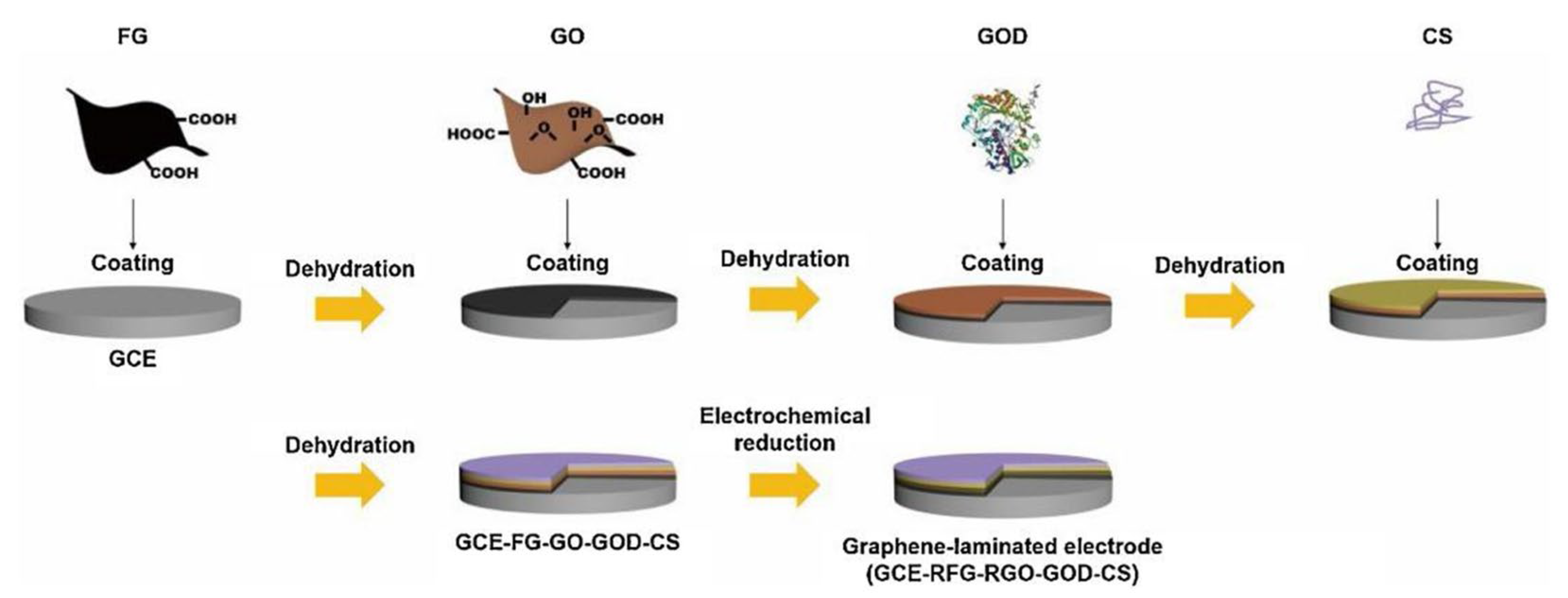 Biosensors 13 00886 g006