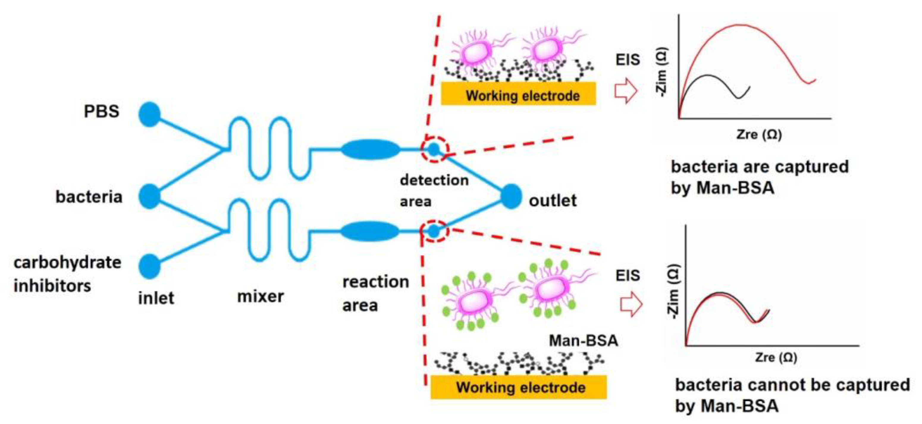 Biosensors 13 00887 g002