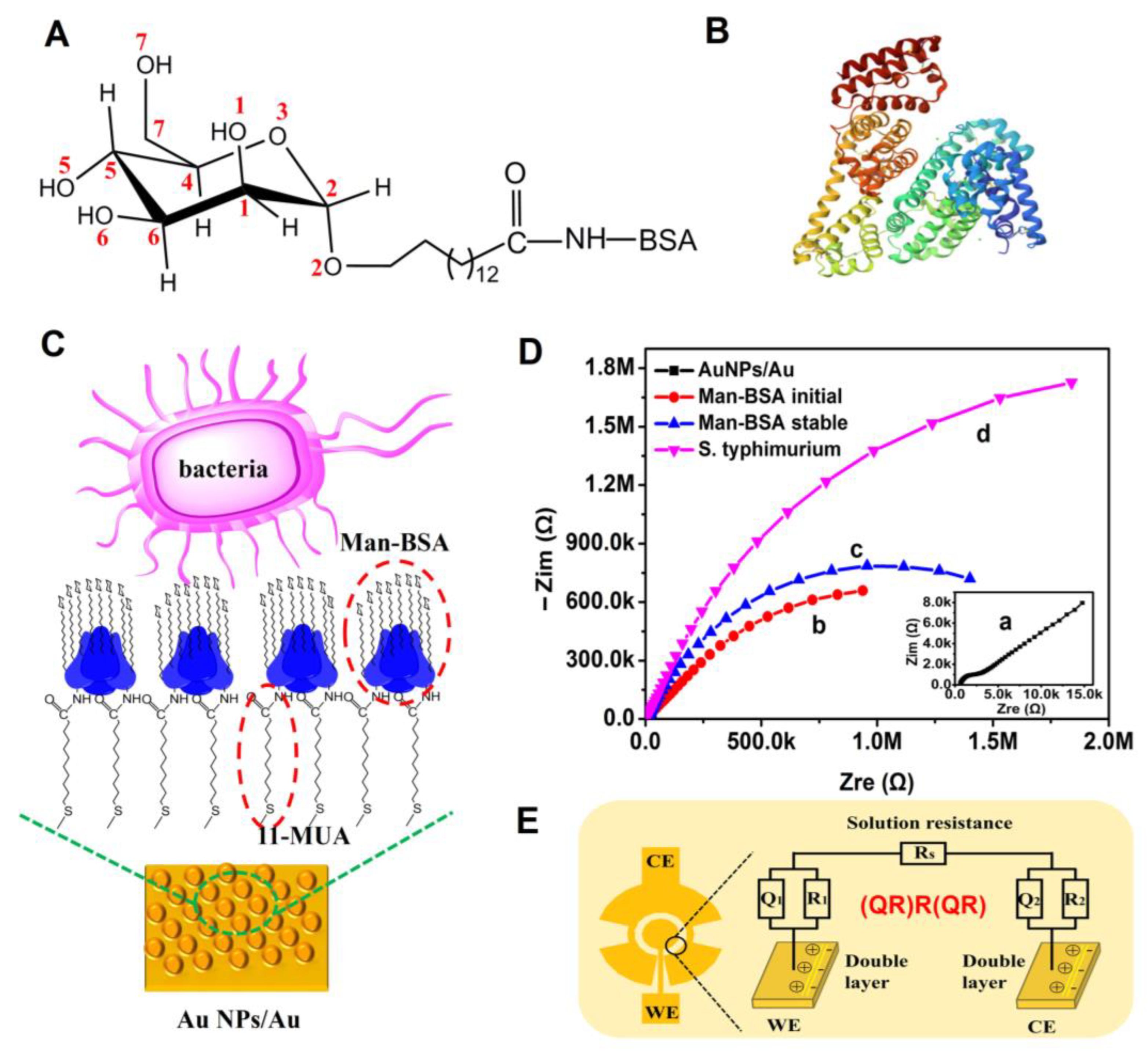 Biosensors 13 00887 g004