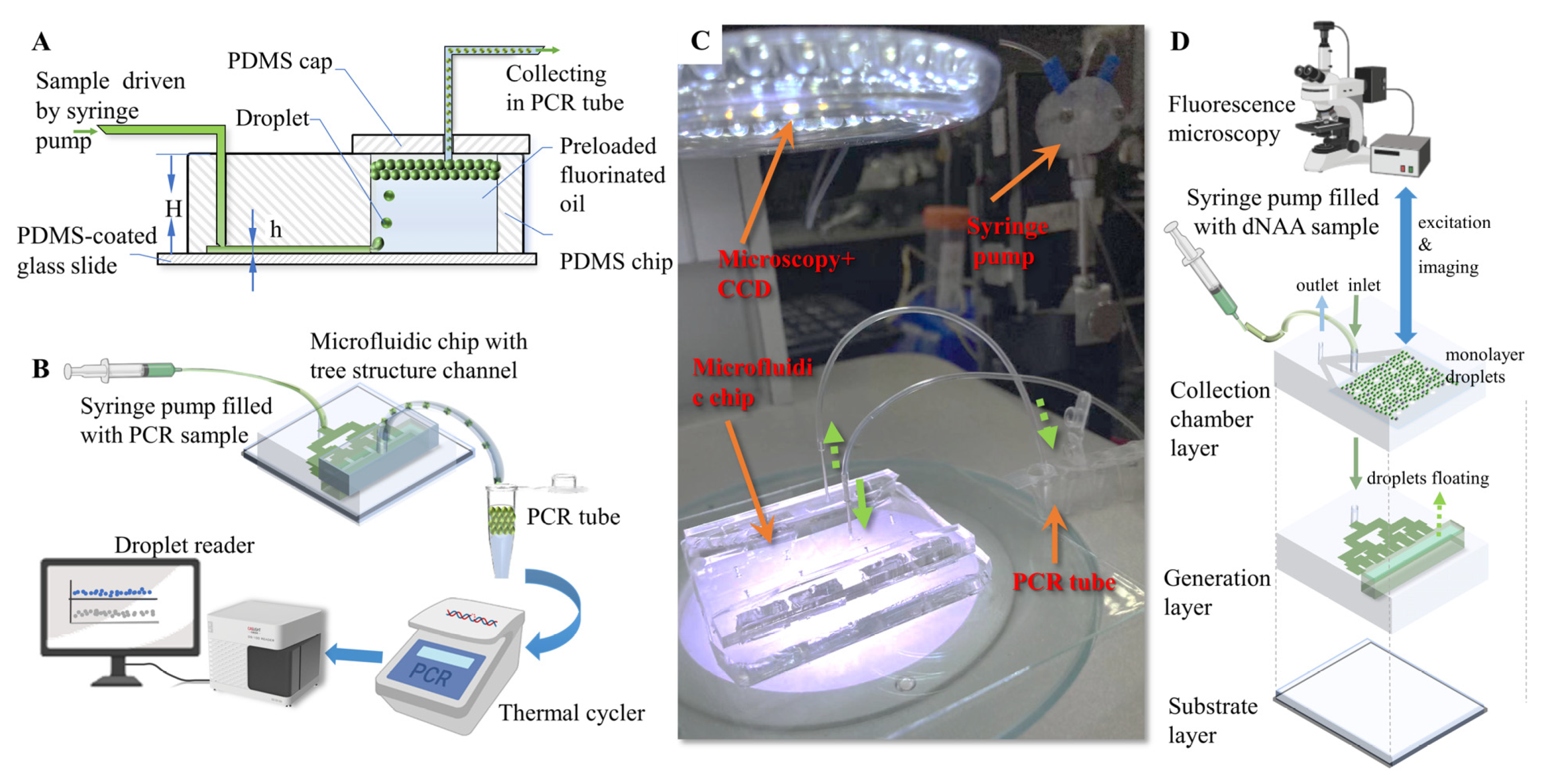 Biosensors 13 00888 g002
