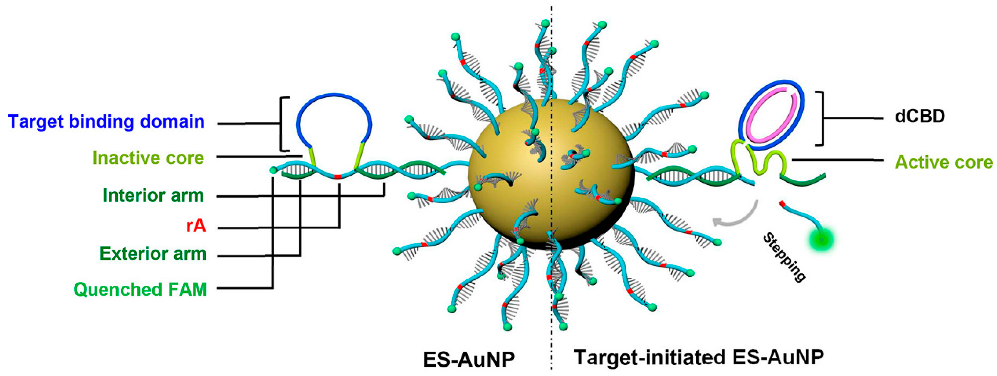 Biosensors 13 00889 g007