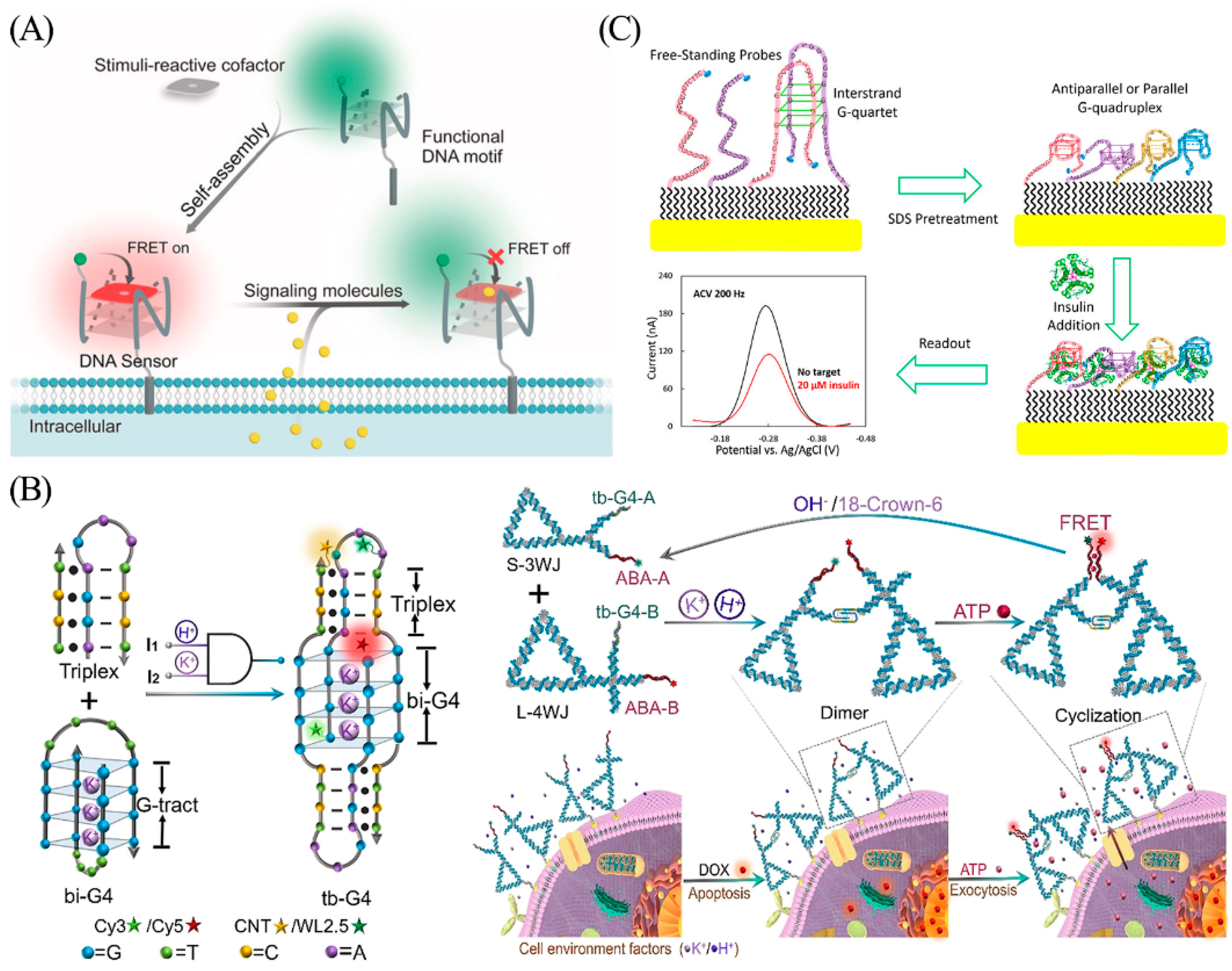 Biosensors 13 00889 g014