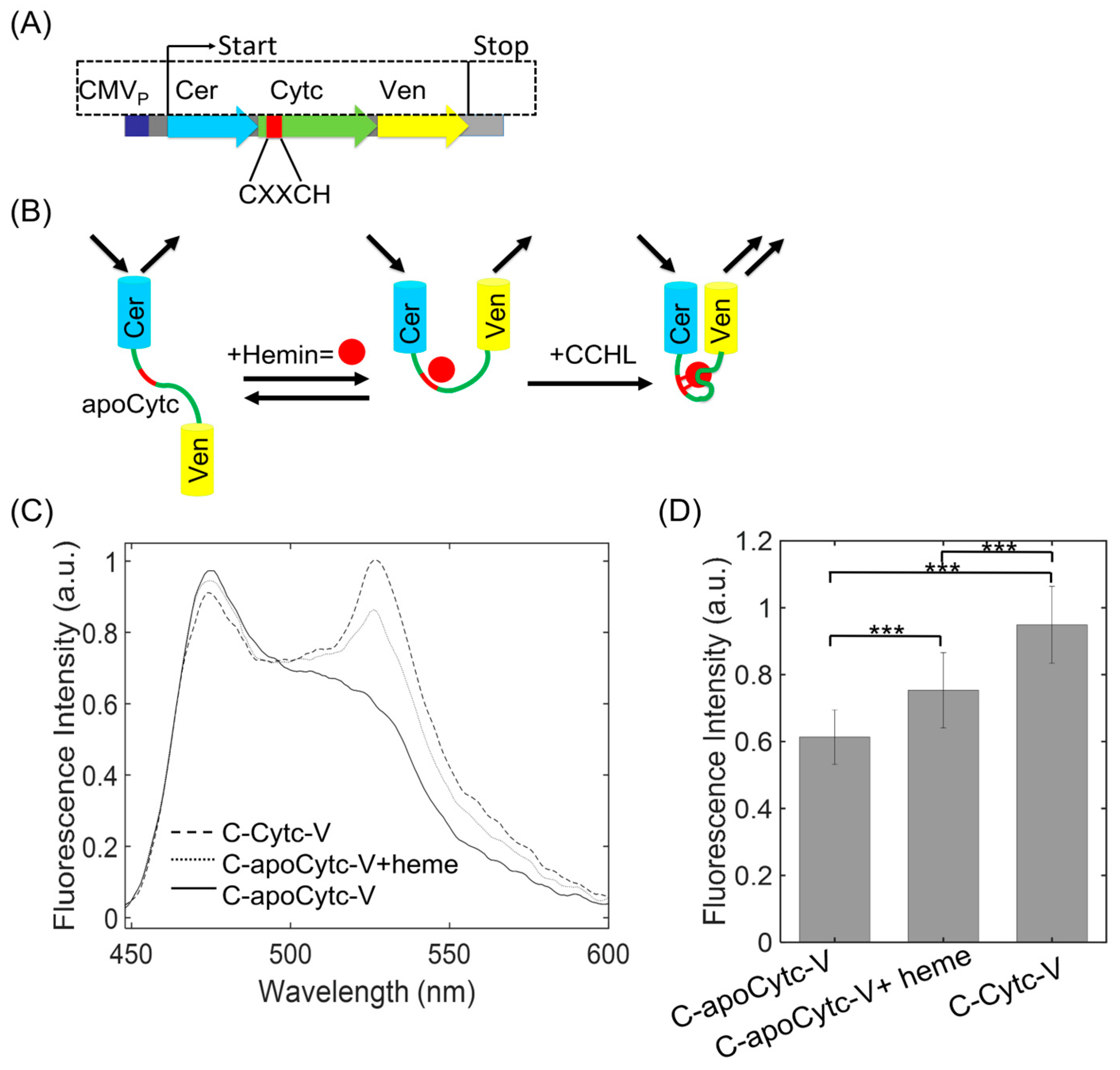Biosensors 13 00890 g001 Biosensors 13 00890 g001