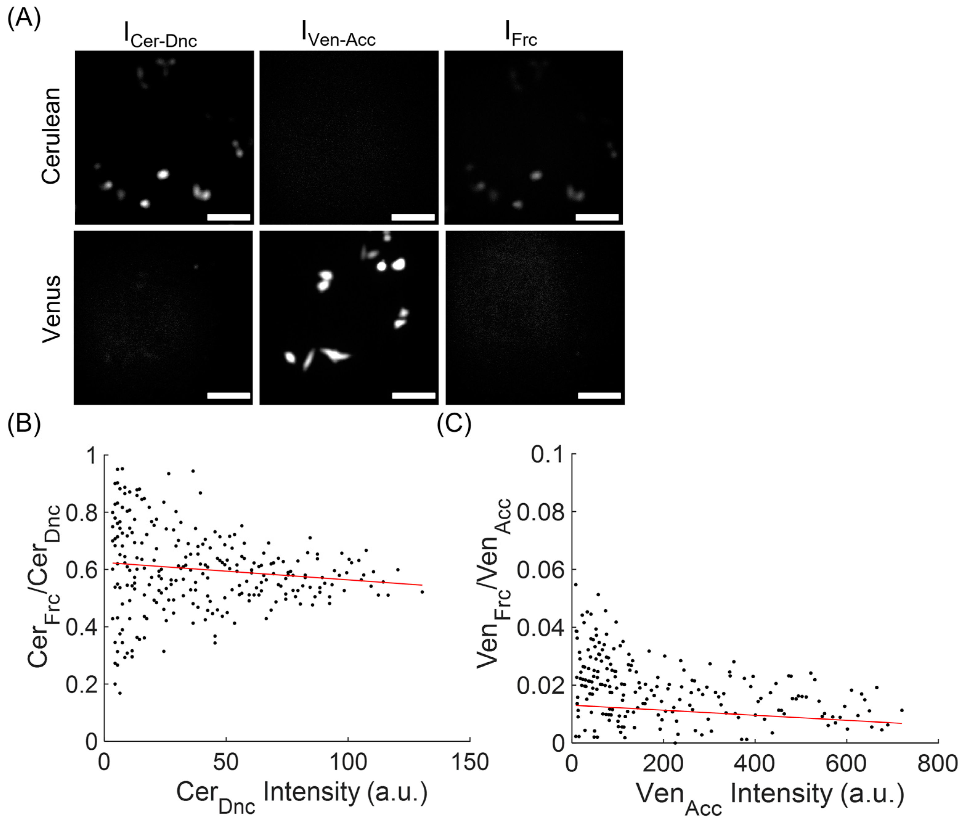 Biosensors 13 00890 g002 Biosensors 13 00890 g002