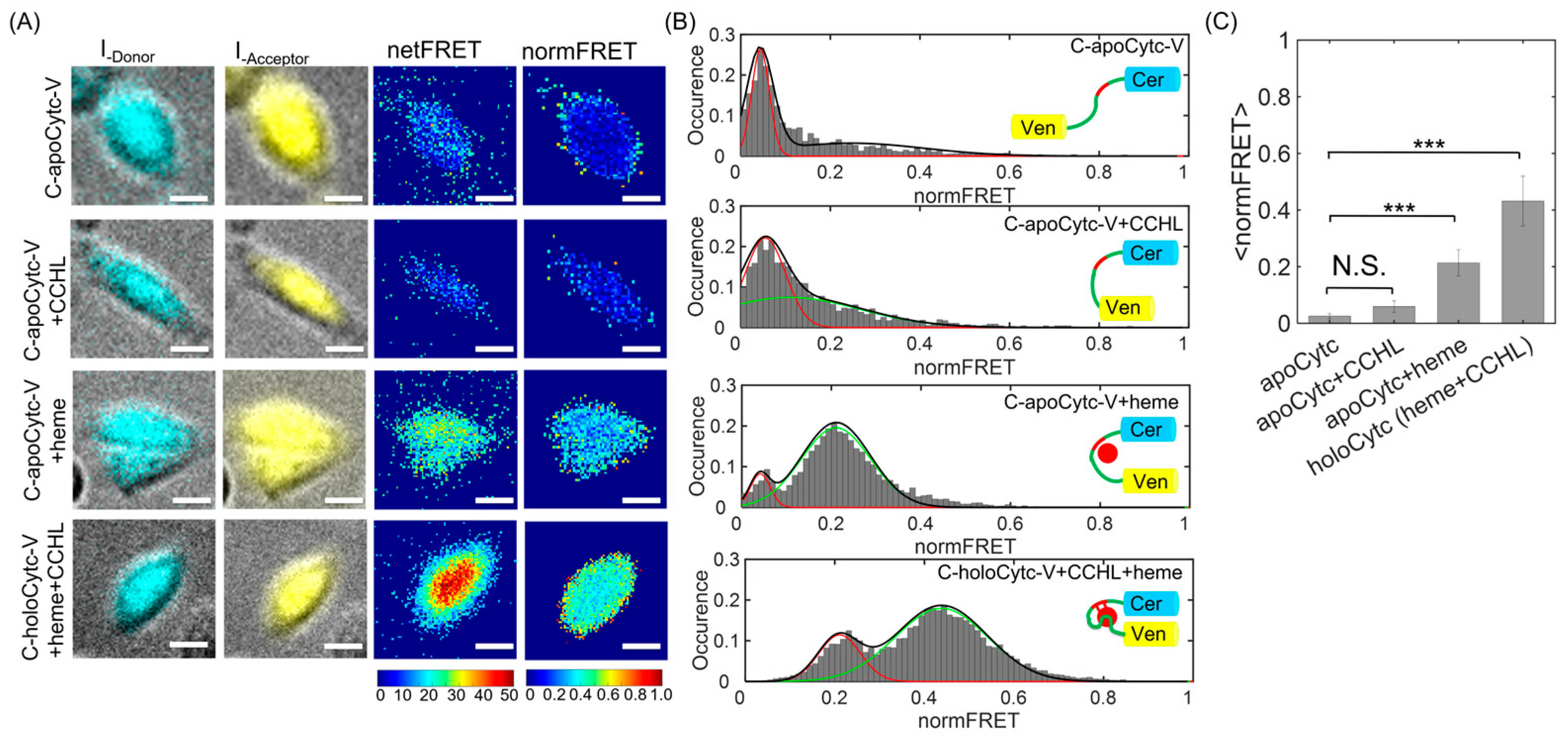 Biosensors 13 00890 g003 Biosensors 13 00890 g003