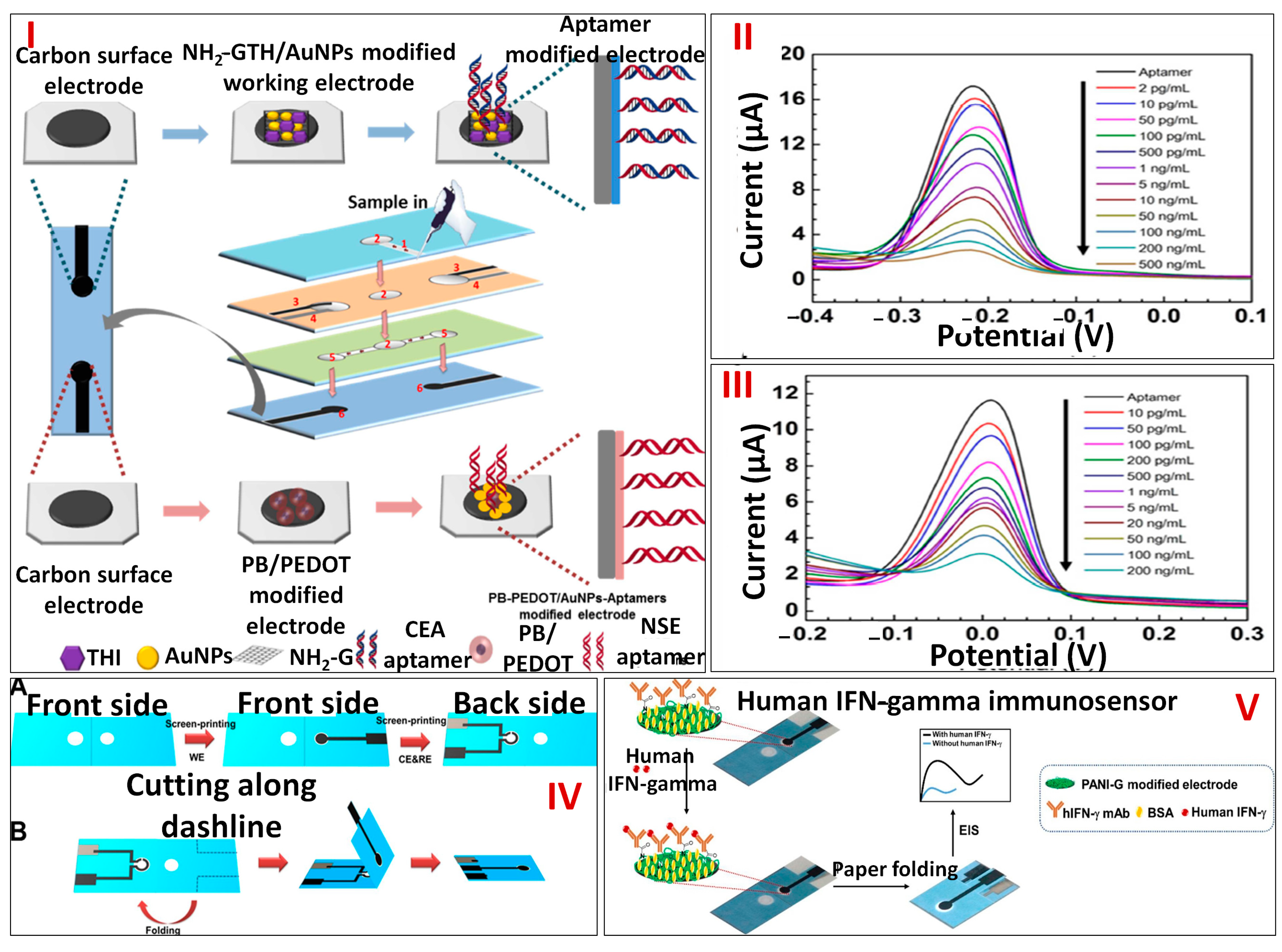 Biosensors 13 00891 g007