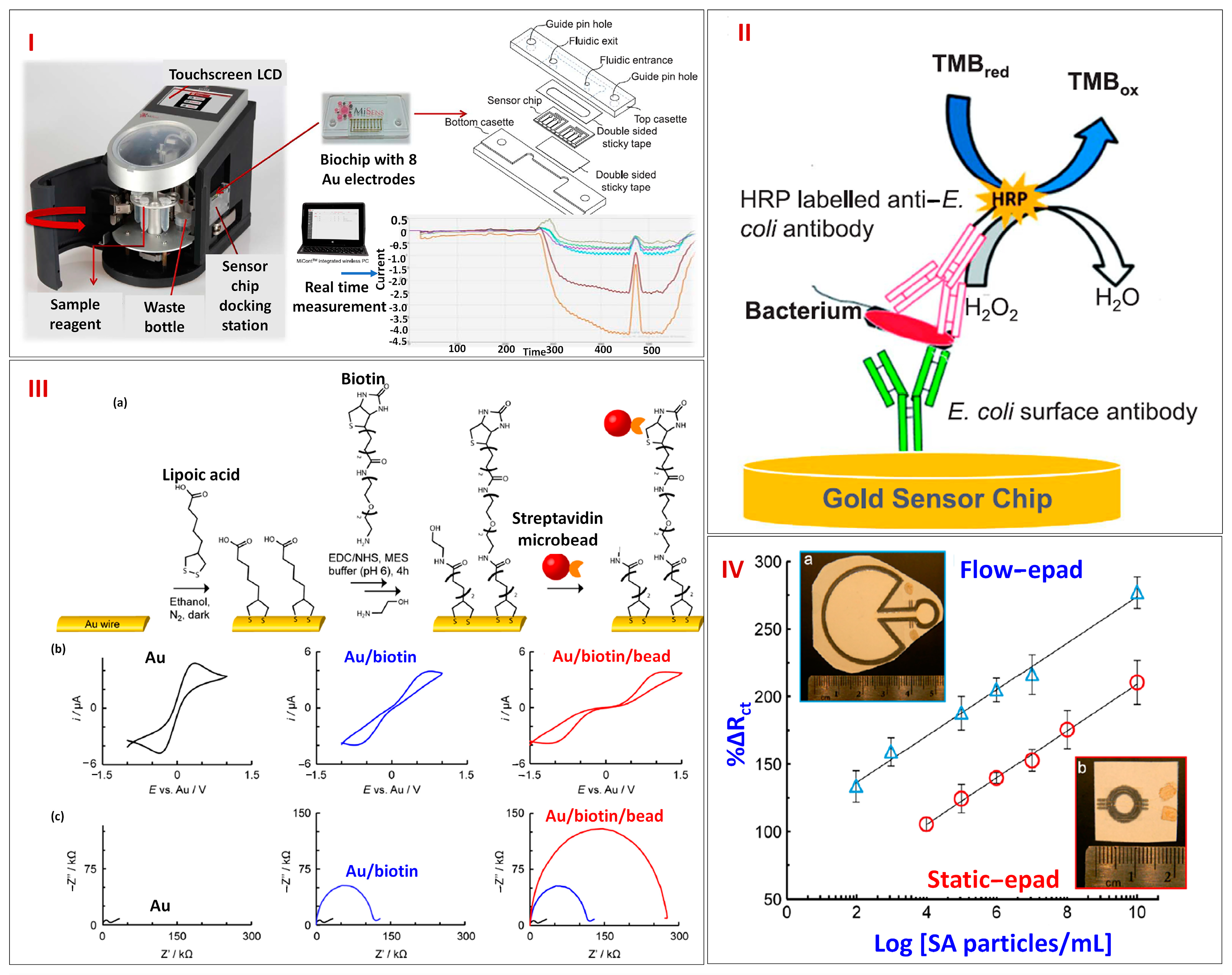 Biosensors 13 00891 g008