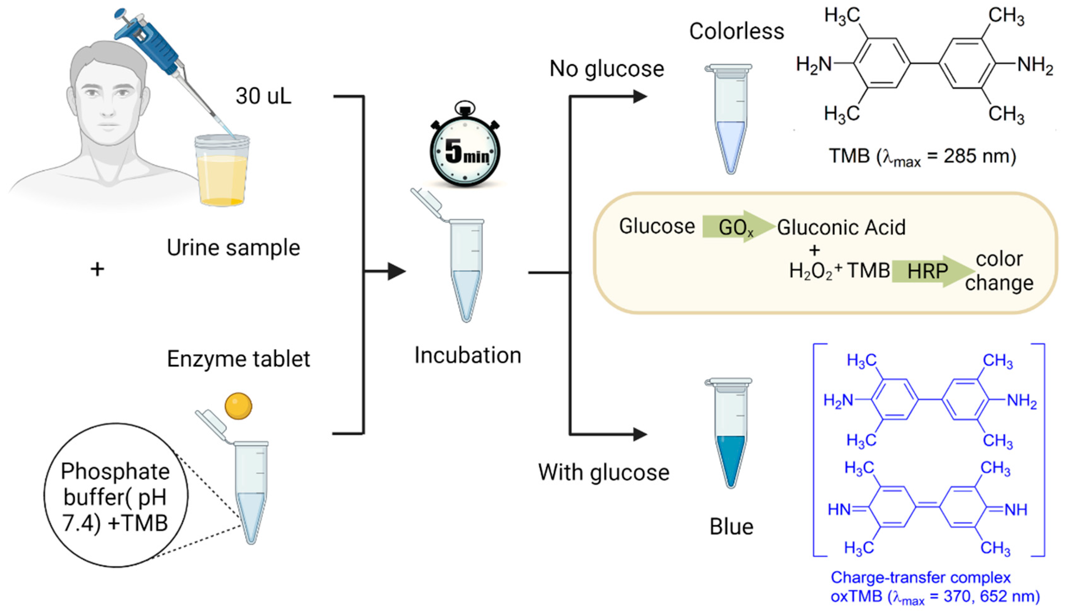 Biosensors 13 00893 g002