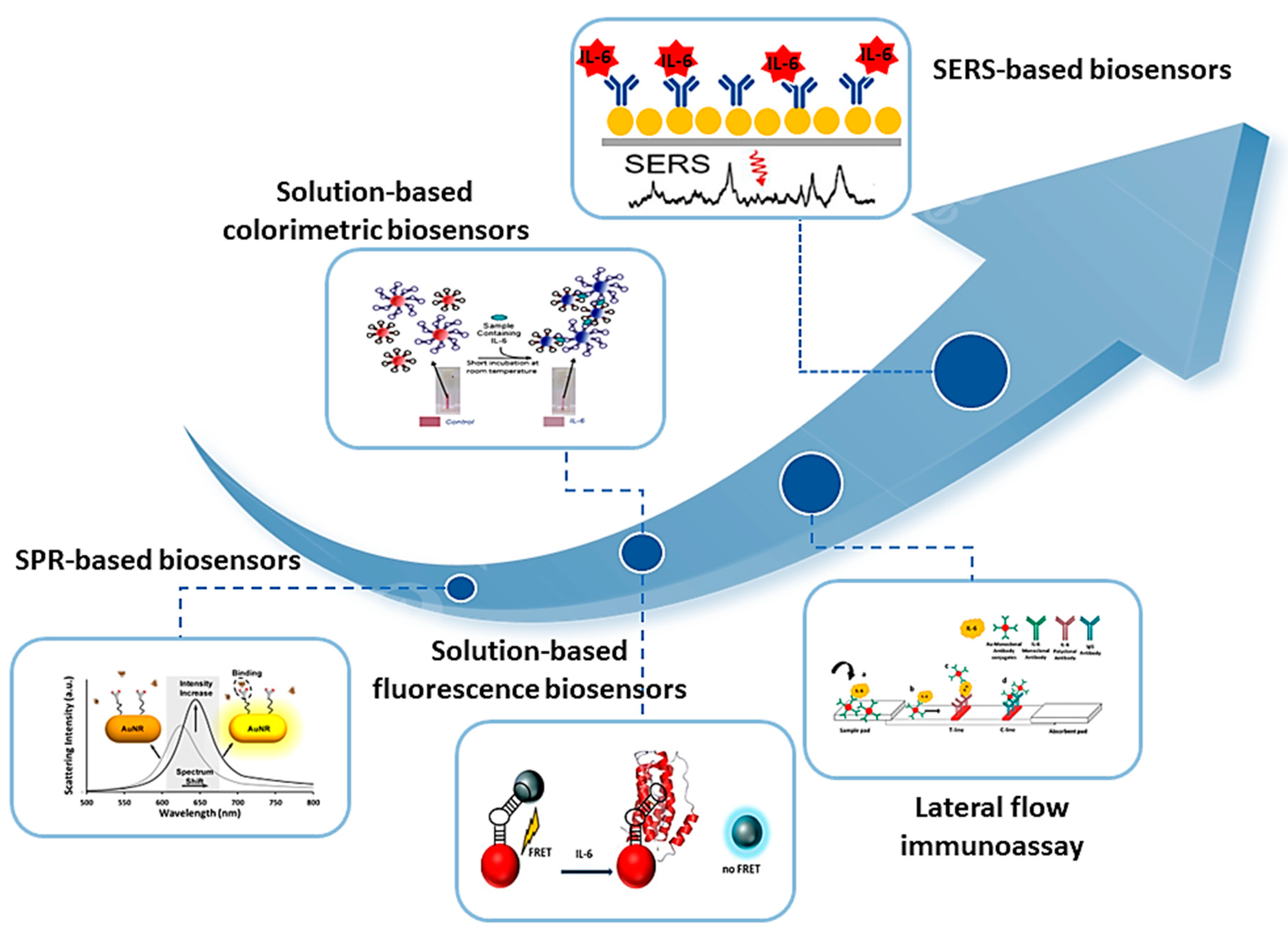 Biosensors 13 00898 g002