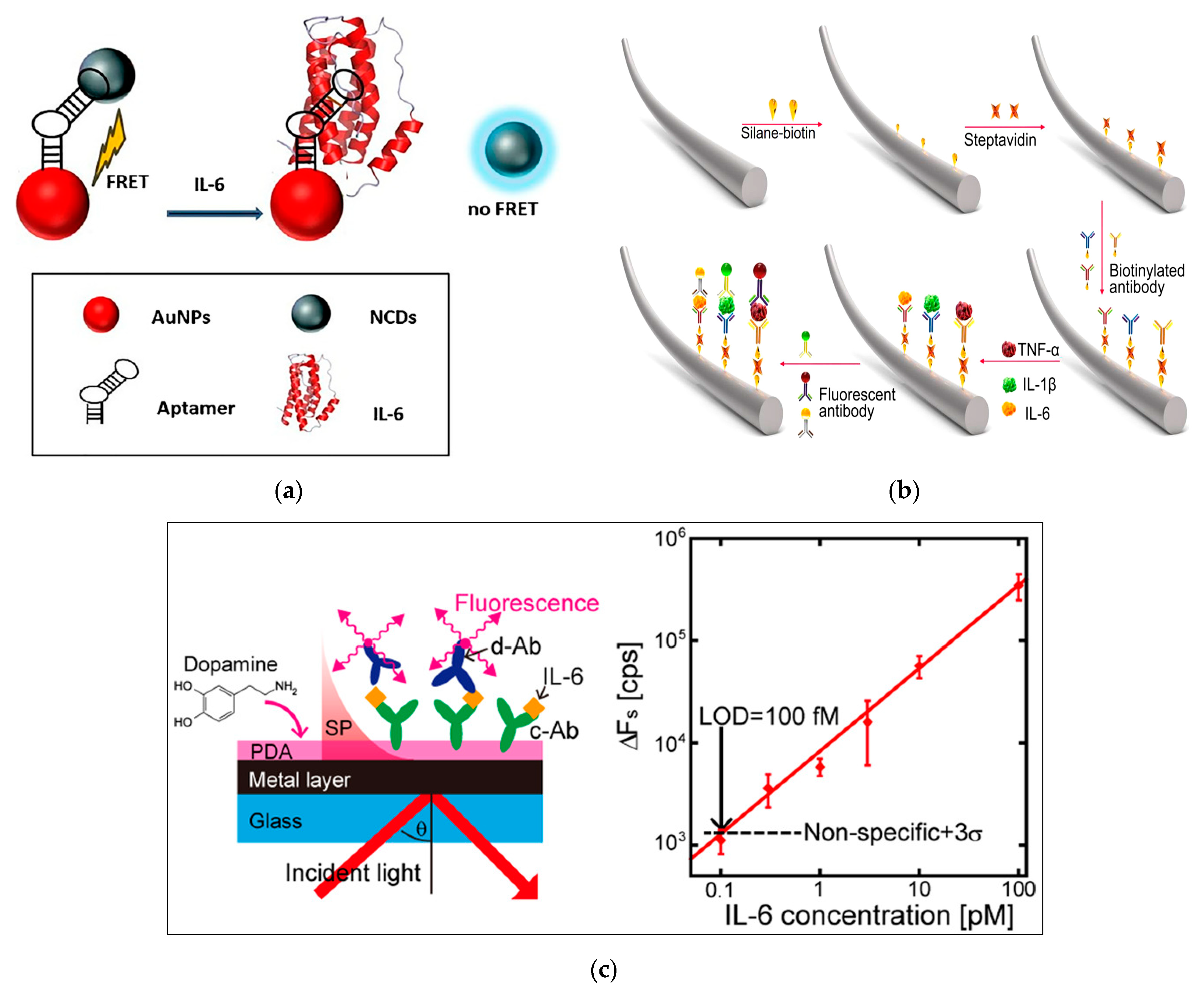 Biosensors 13 00898 g005