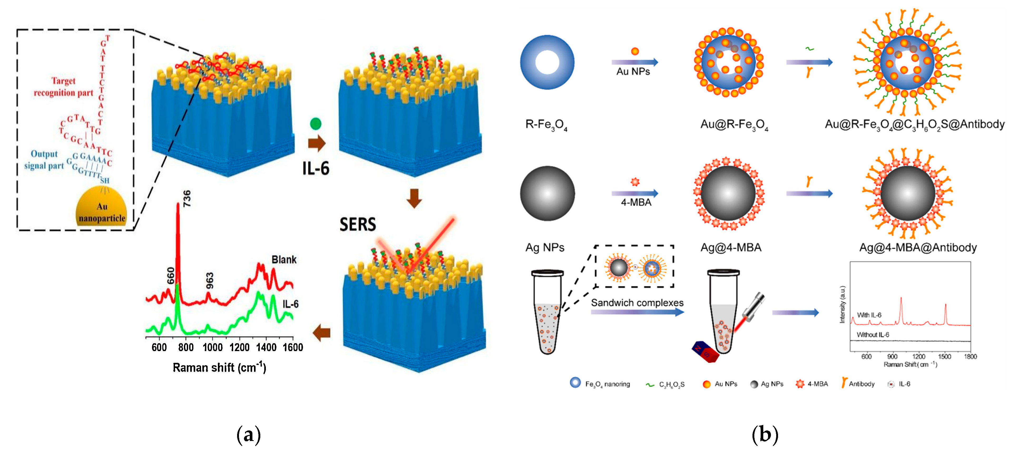 Biosensors 13 00898 g006a