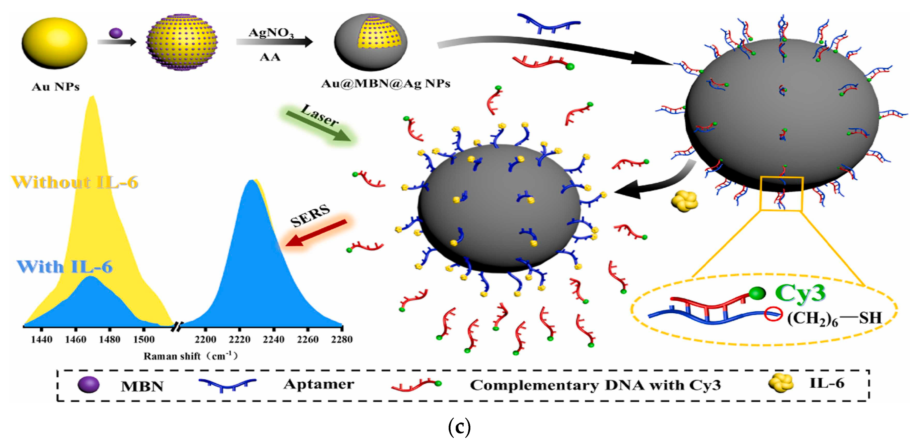 Biosensors 13 00898 g006b