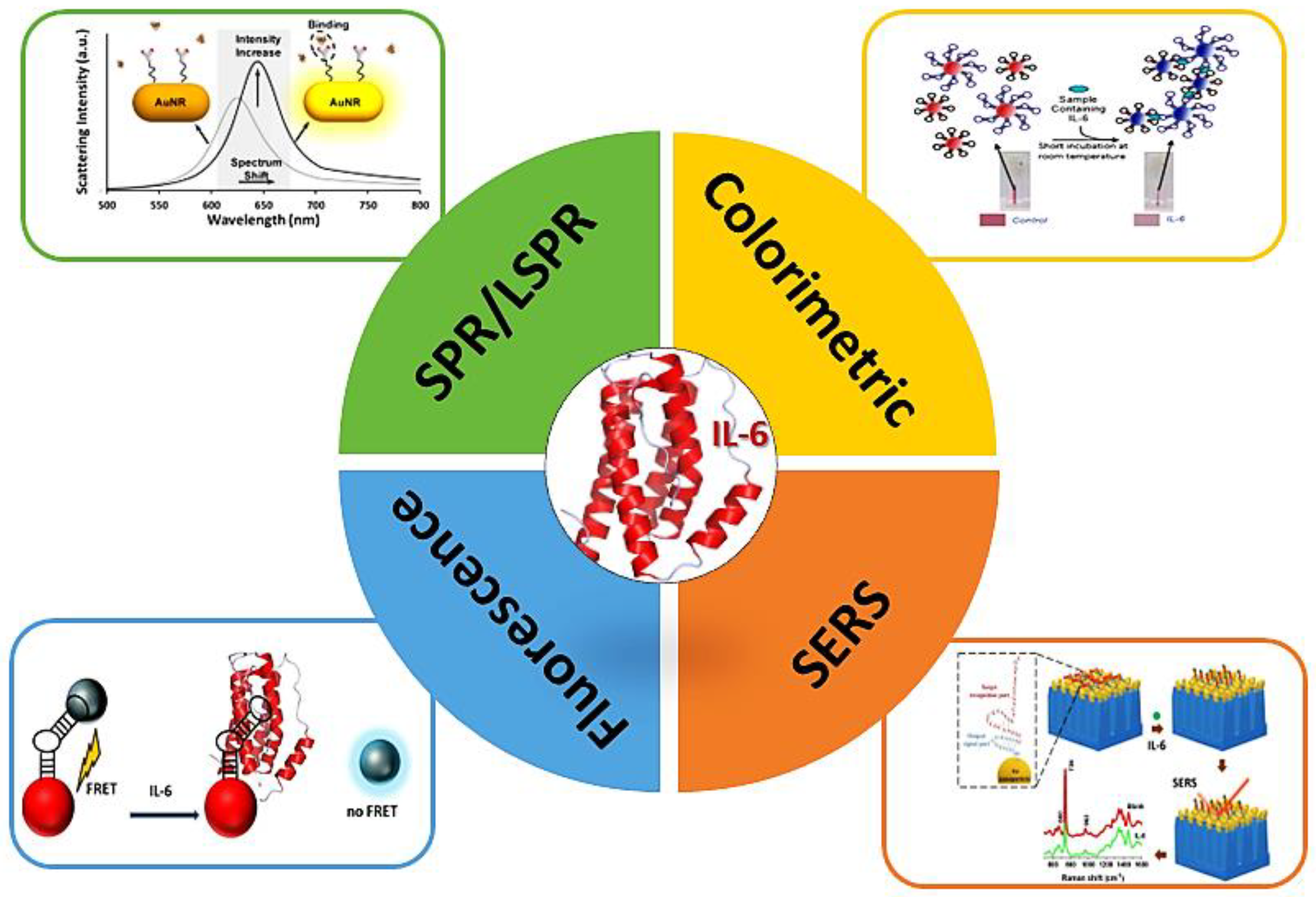Biosensors 13 00898 sch001