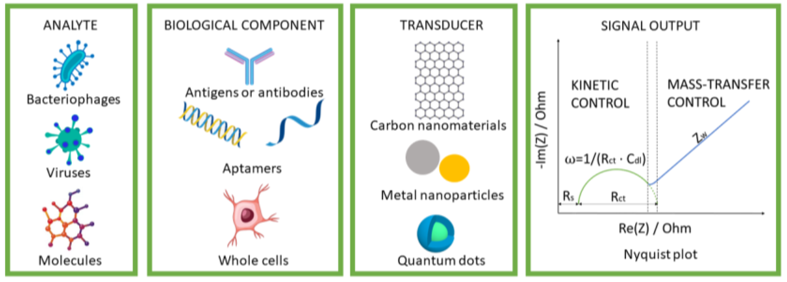 Nanoparticle-Based Immunochemical Biosensors and Assays: Recent