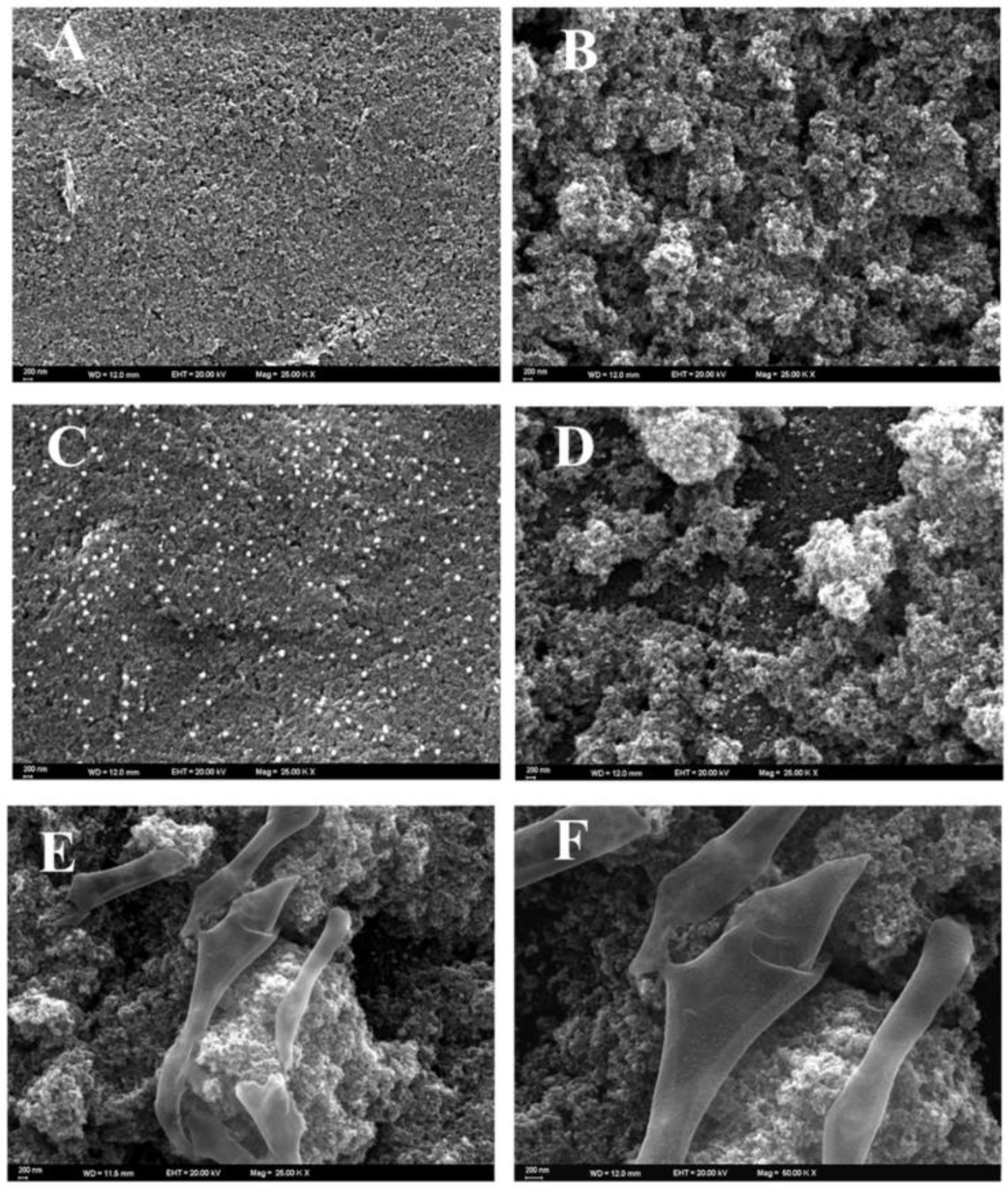 Biosensors 13 00899 g003