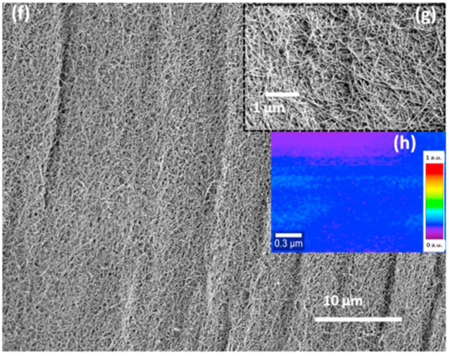 Biosensors 13 00899 g006