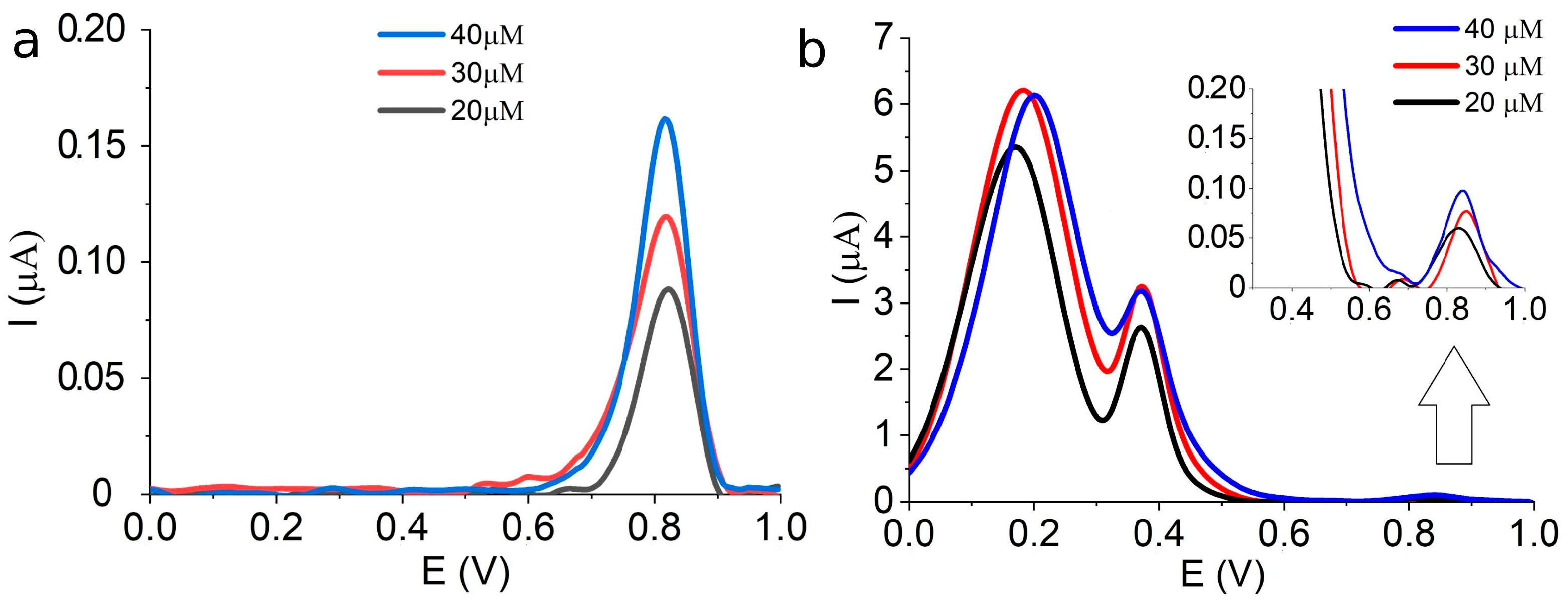 Biosensors 13 00901 g010