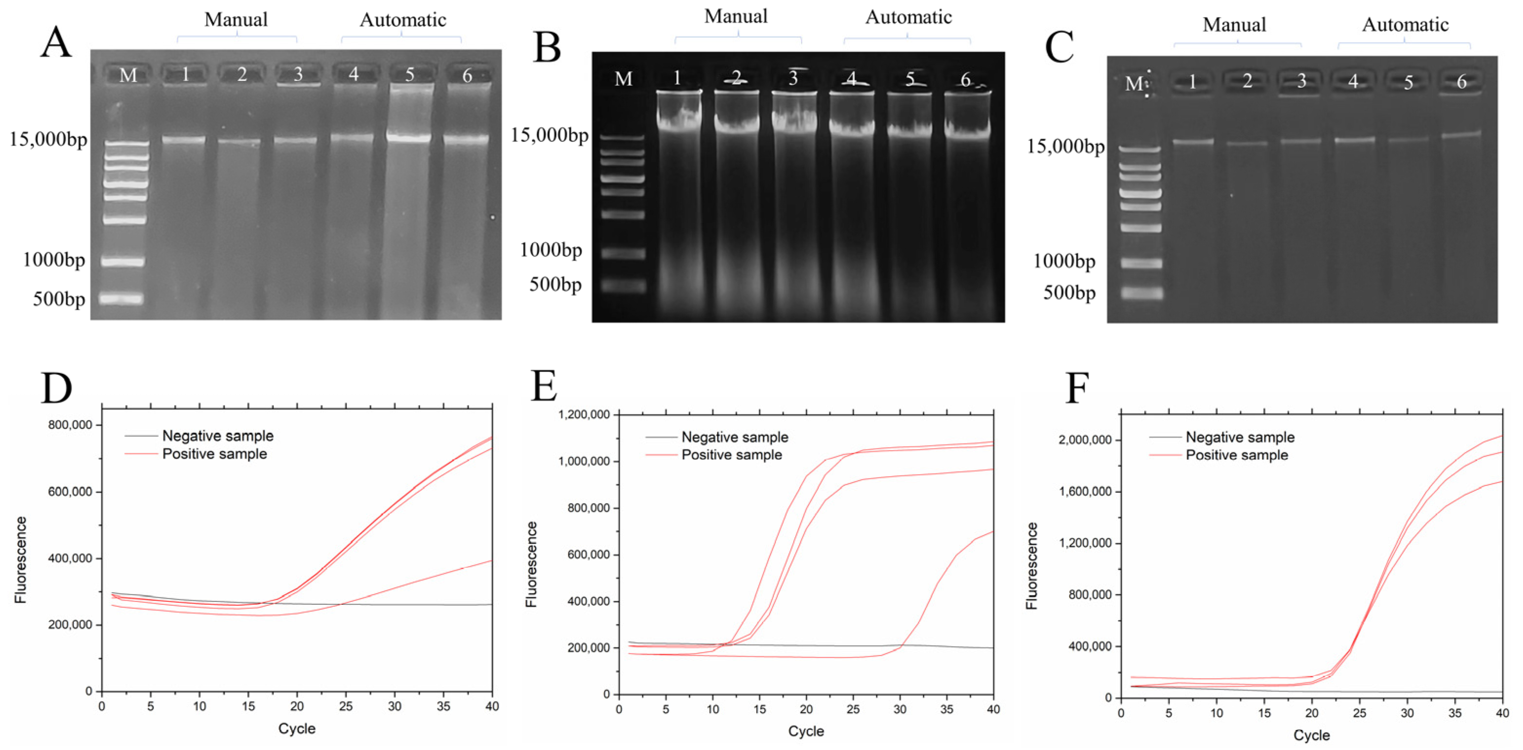 Biosensors 13 00903 g007
