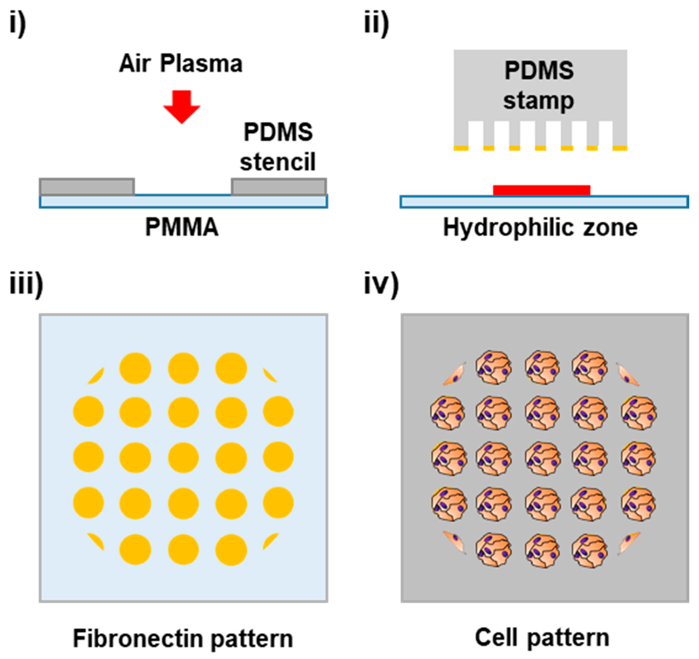 Biosensors 13 00904 g001