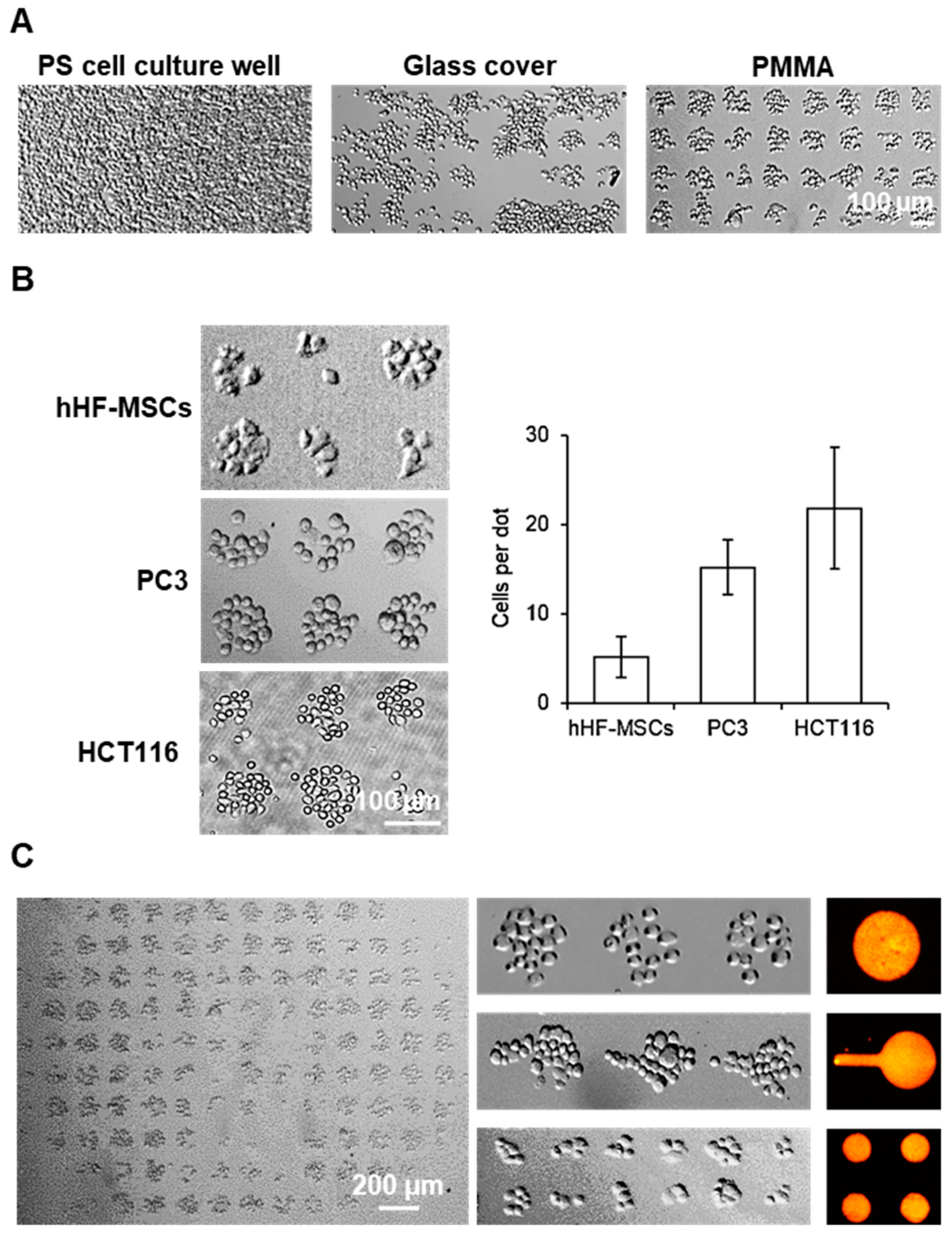 Biosensors 13 00904 g004