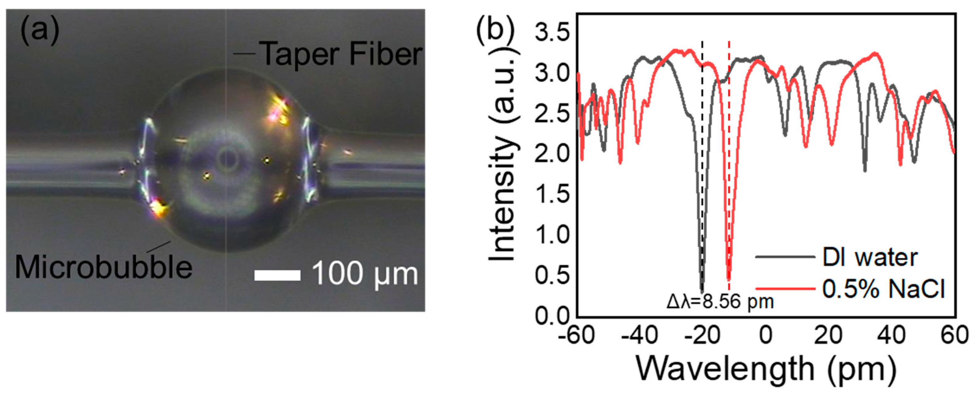 Biosensors 13 00911 g002