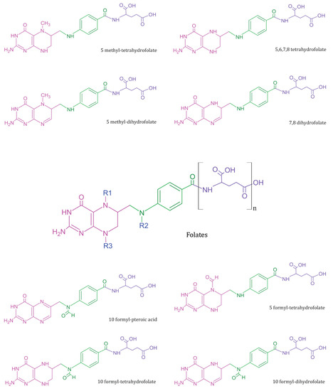 Biosensors 13 00912 g001