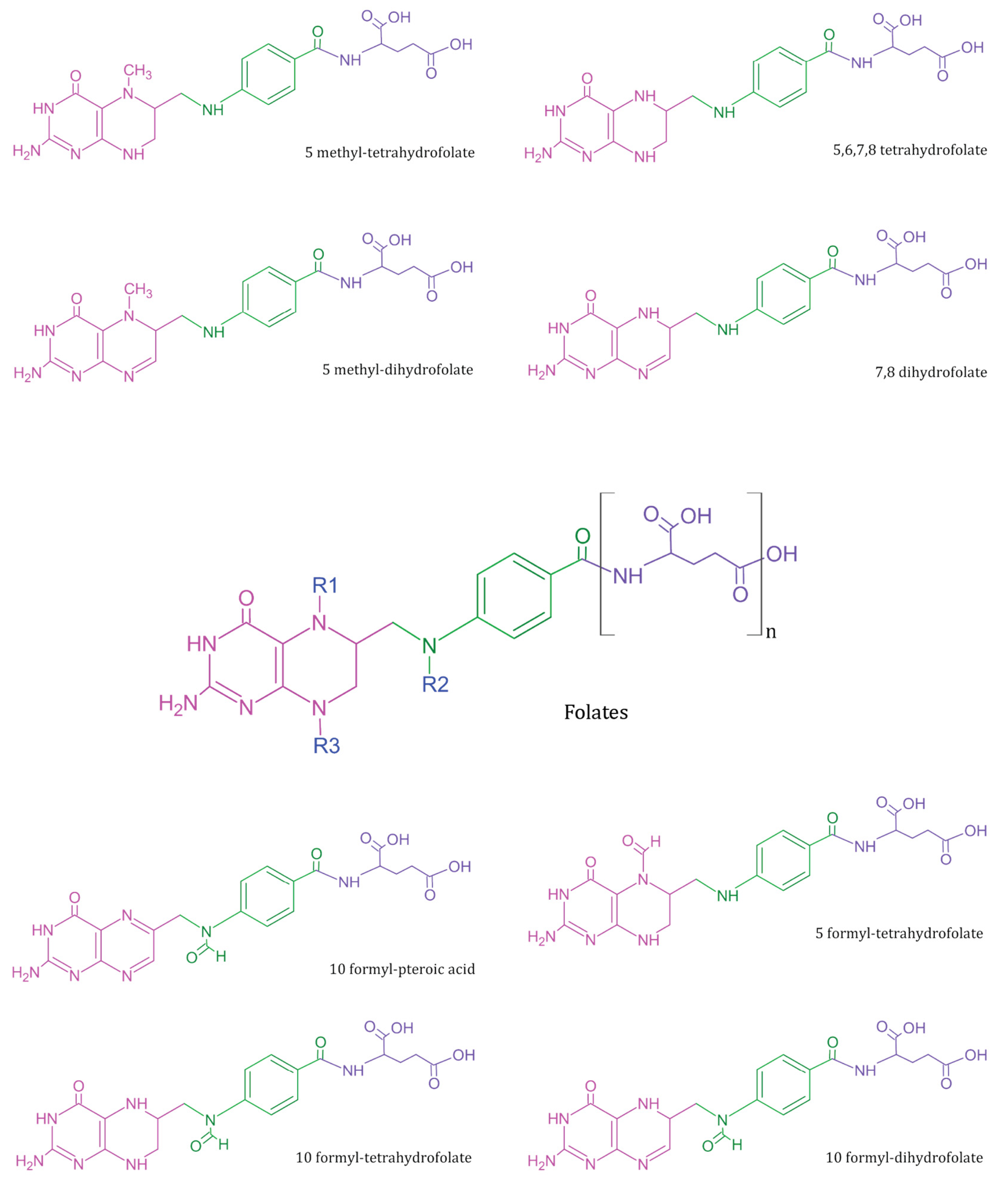 Biosensors 13 00912 g001