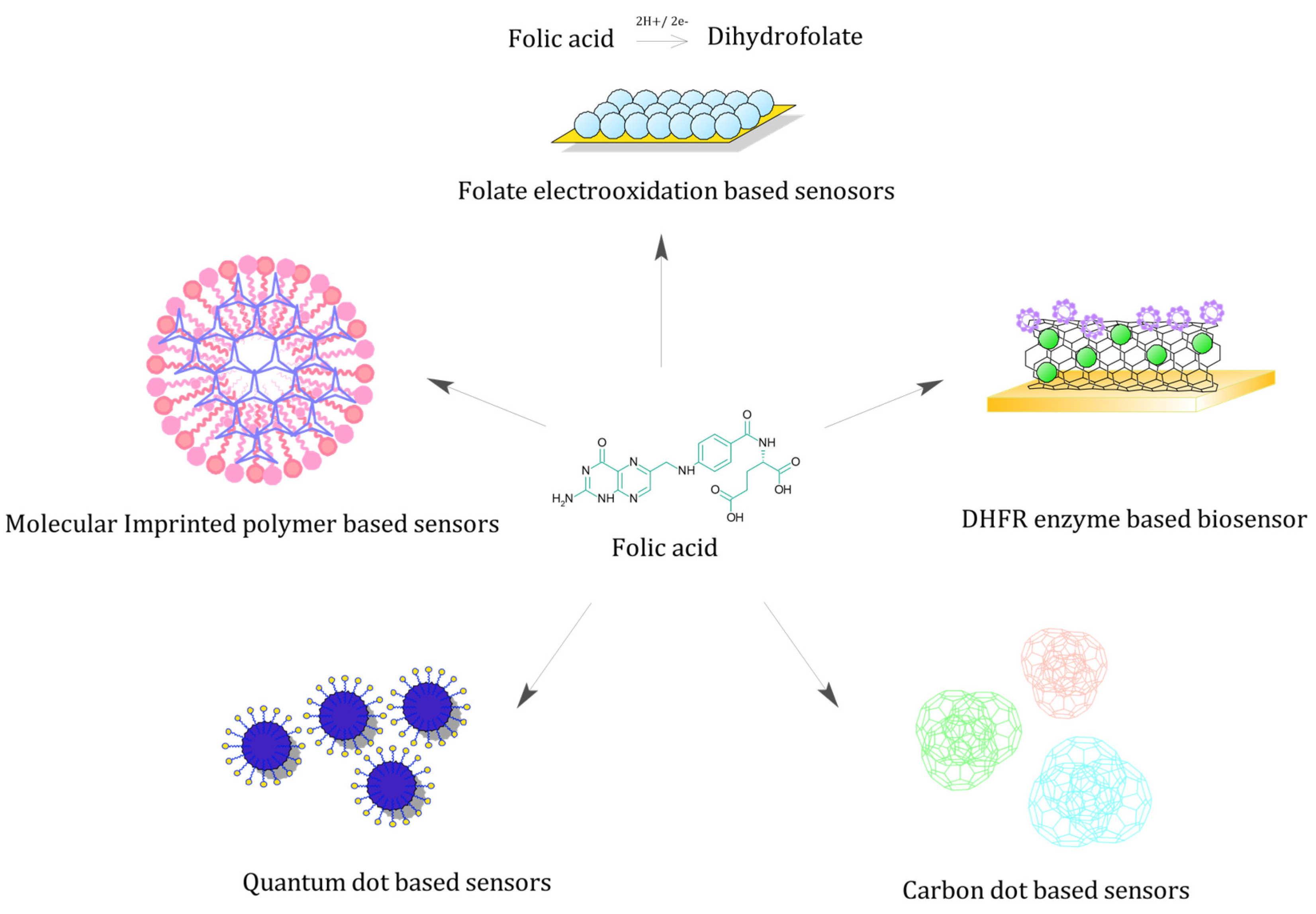 Biosensors 13 00912 g002