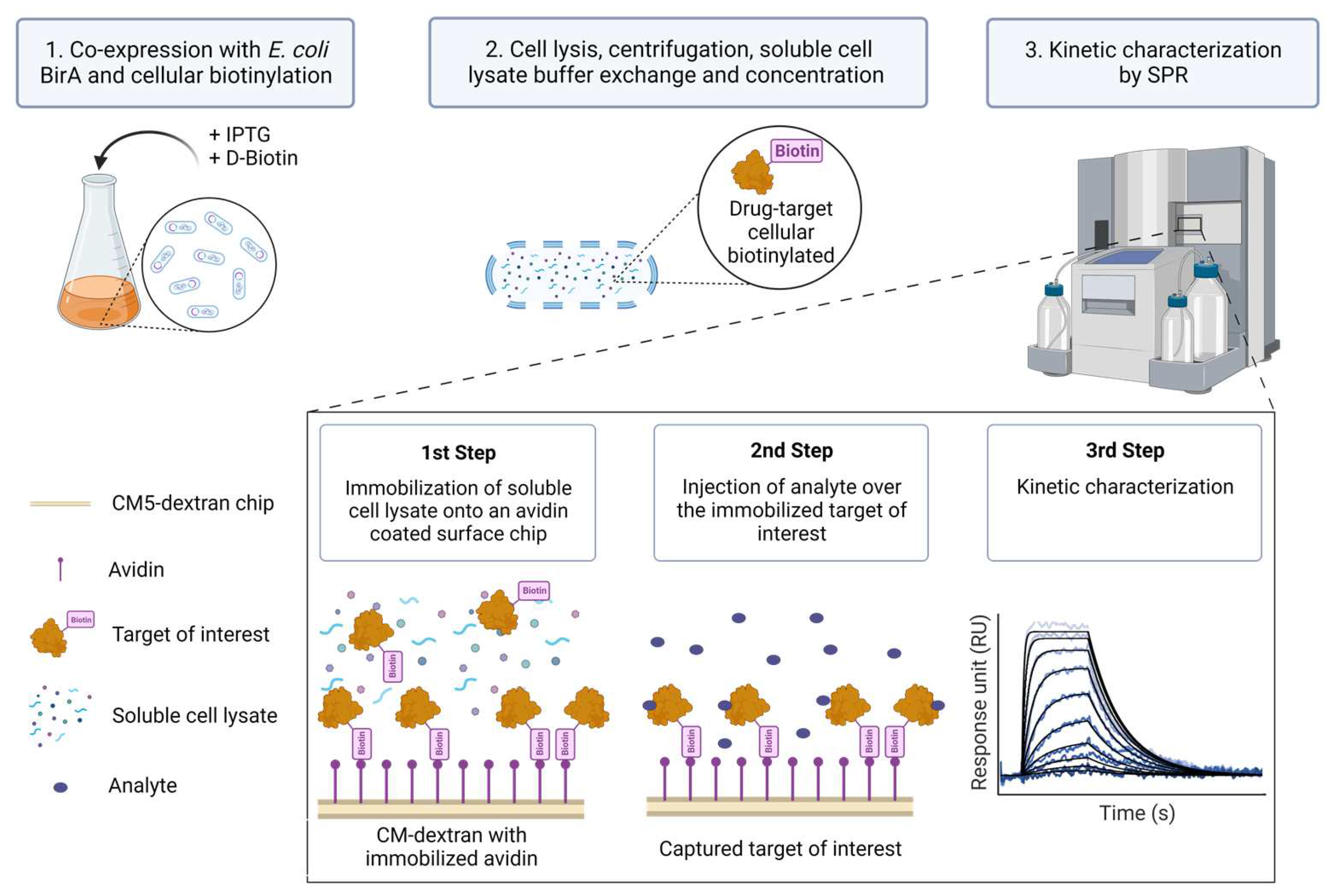 Biosensors 13 00913 g001