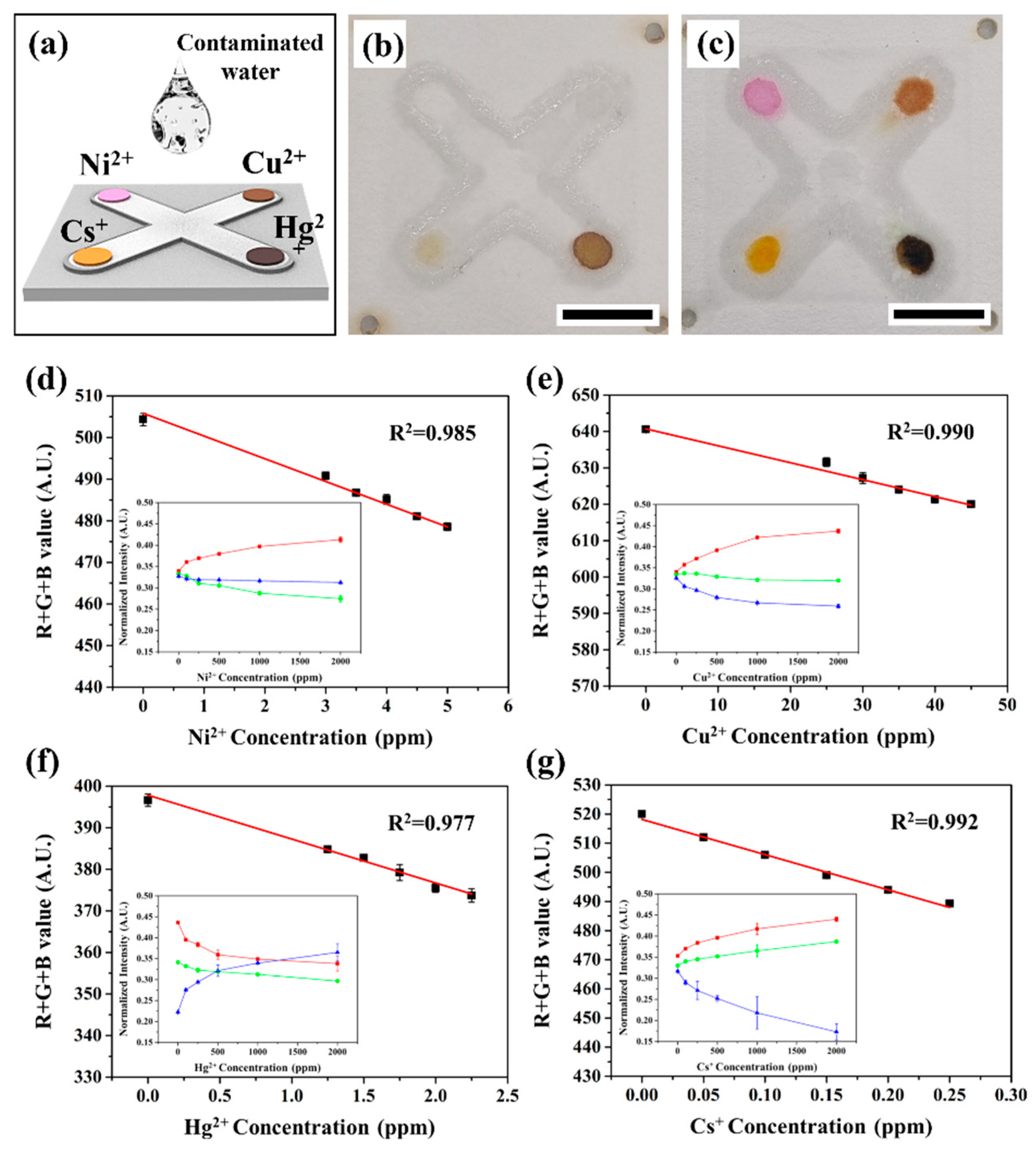 Biosensors 13 00915 g004