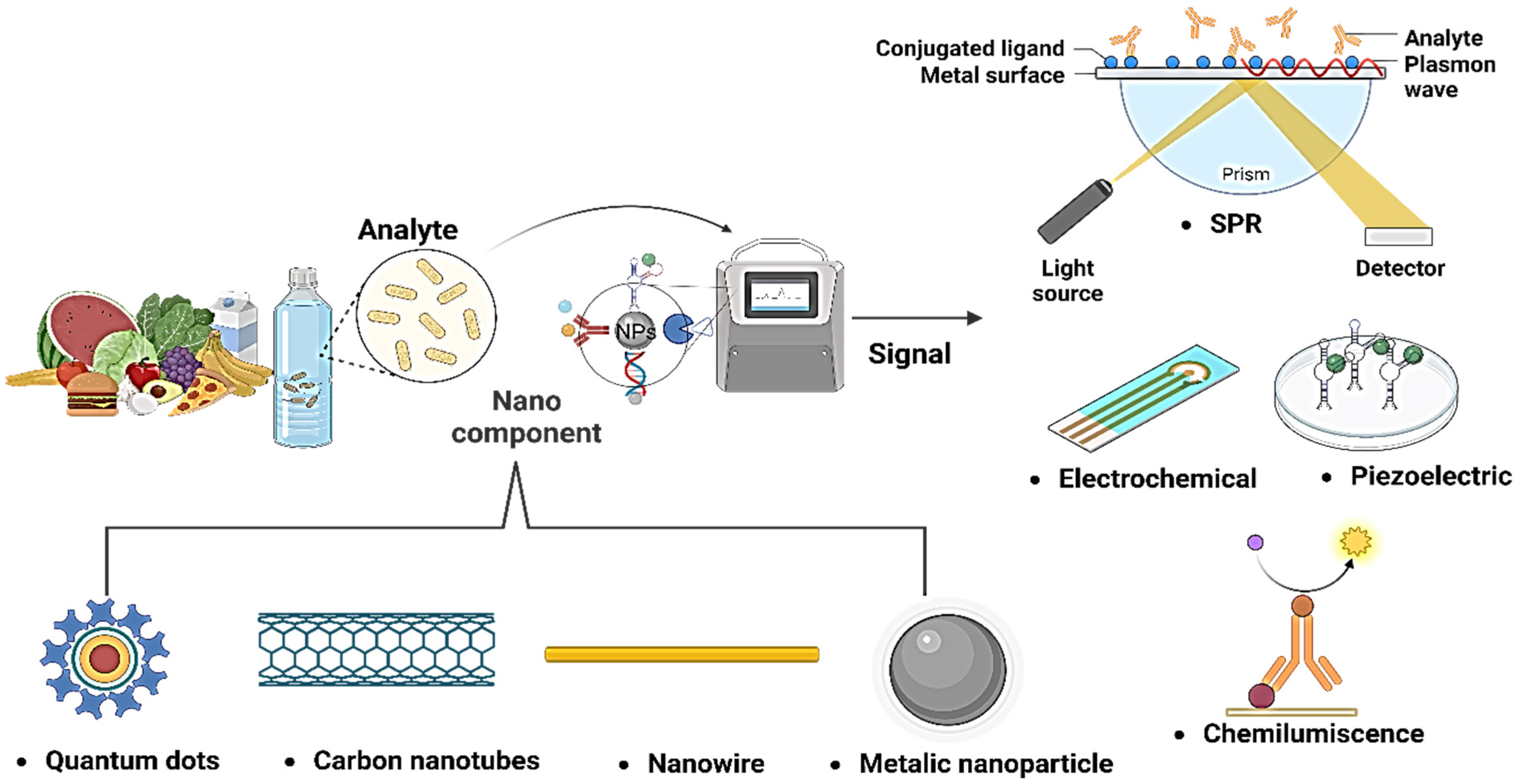 Biosensors 13 00922 g003