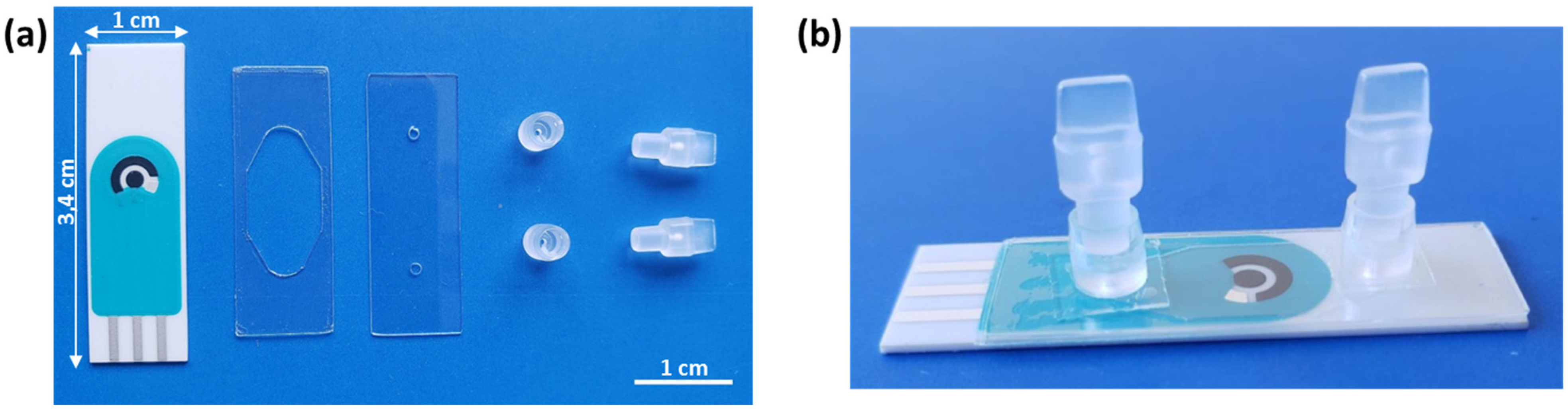 Biosensors 13 00924 g004