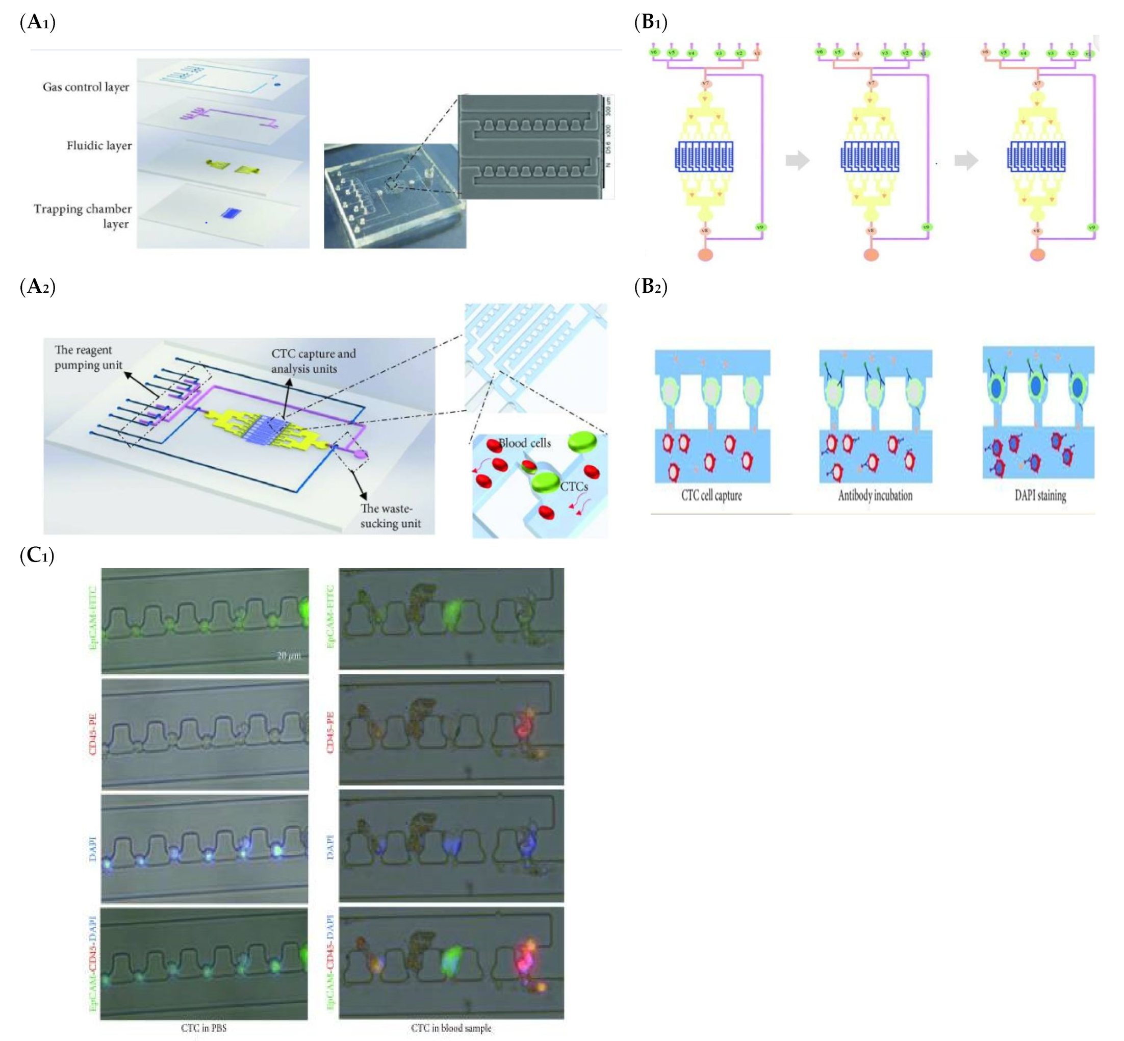 Biosensors 13 00926 g005