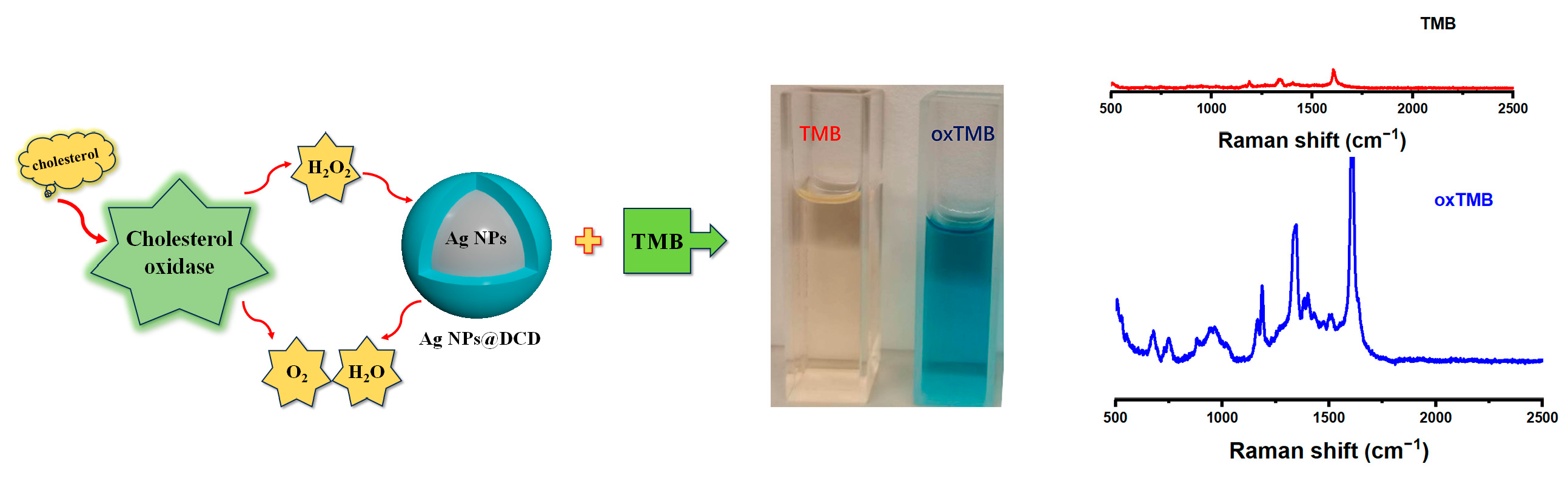 Biosensors 13 00927 sch001