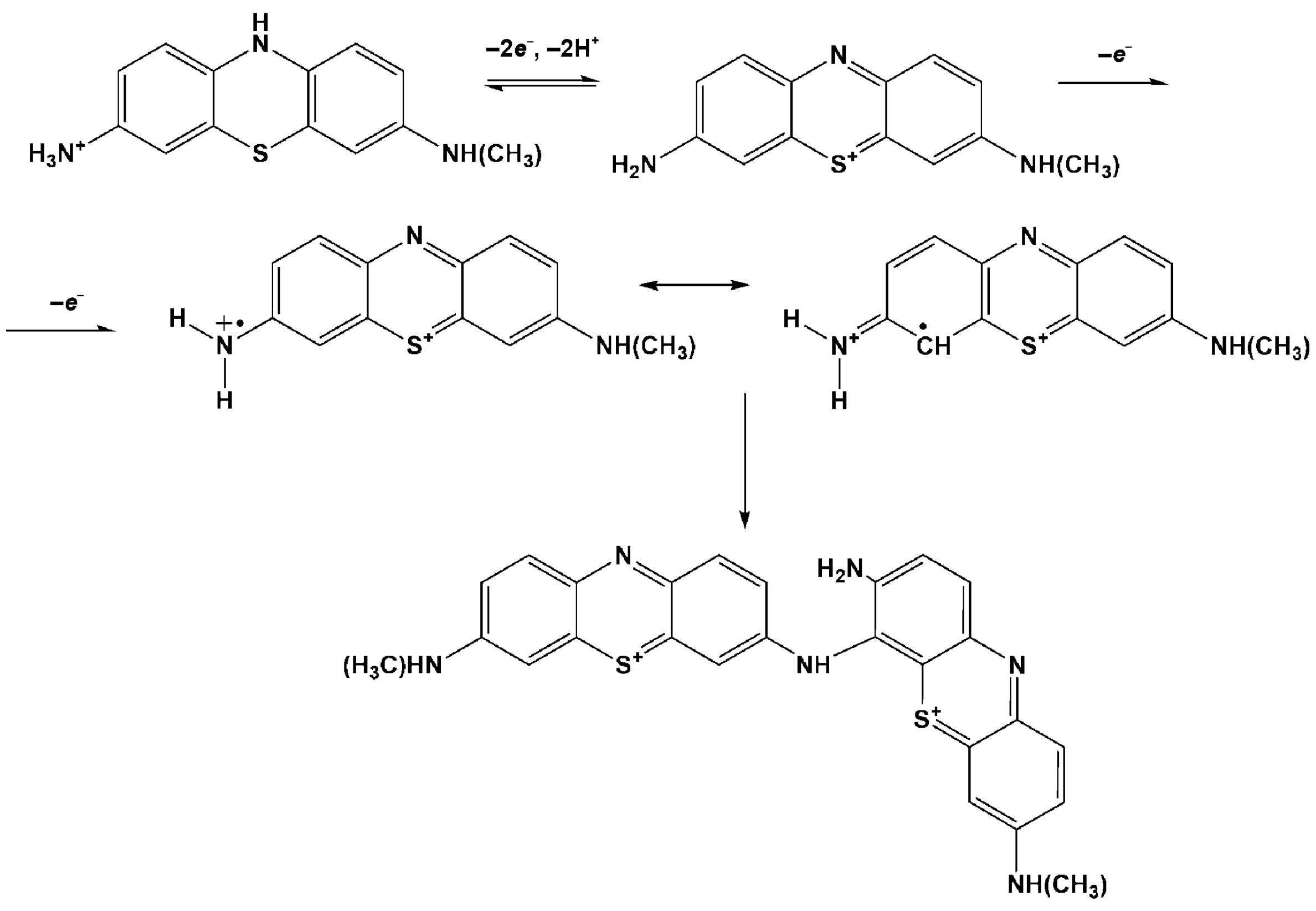 Biosensors 13 00931 g003